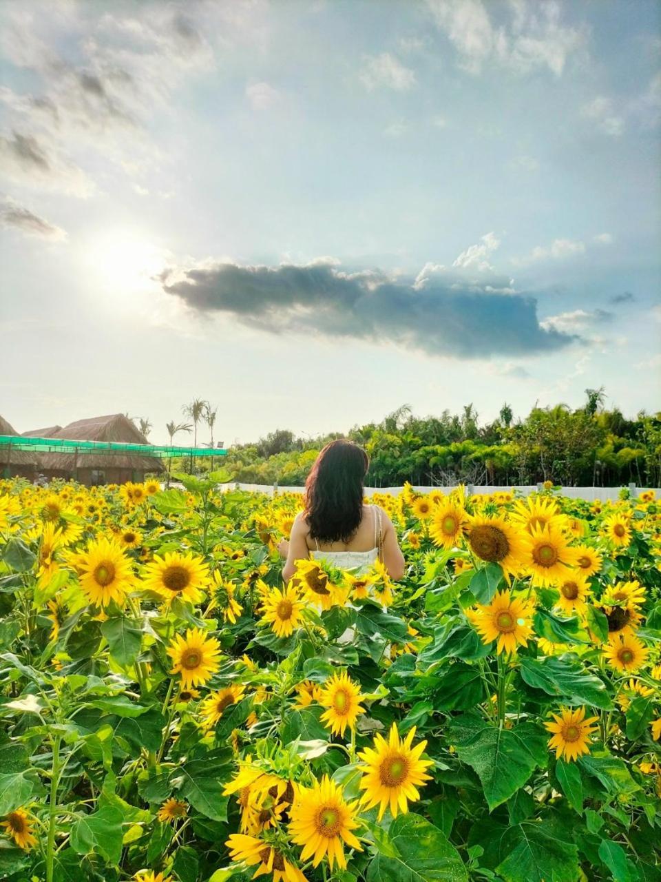 Khu du lịch sinh thái nghỉ dưỡng Mientay lodge