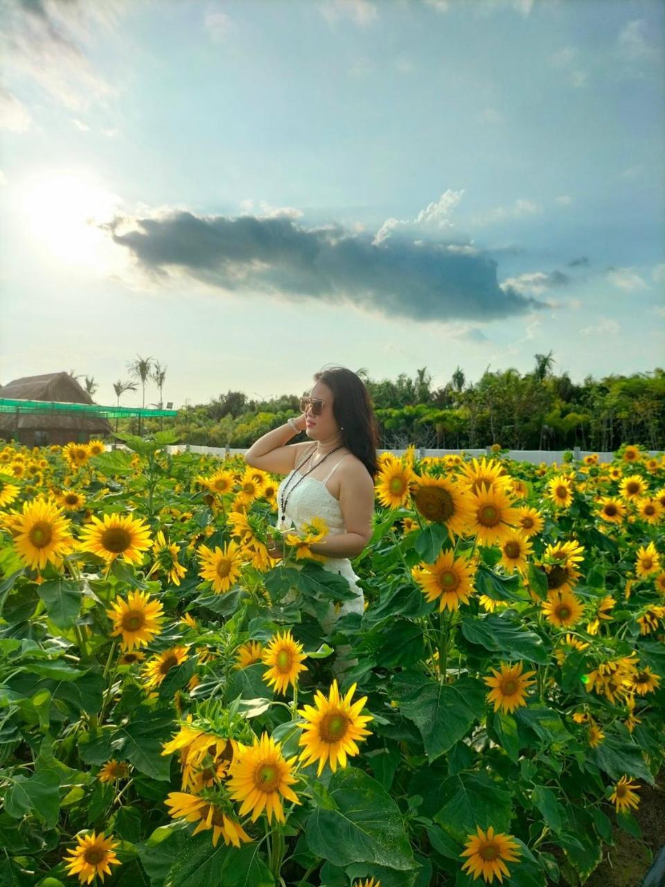 Khu du lịch sinh thái nghỉ dưỡng Mientay lodge
