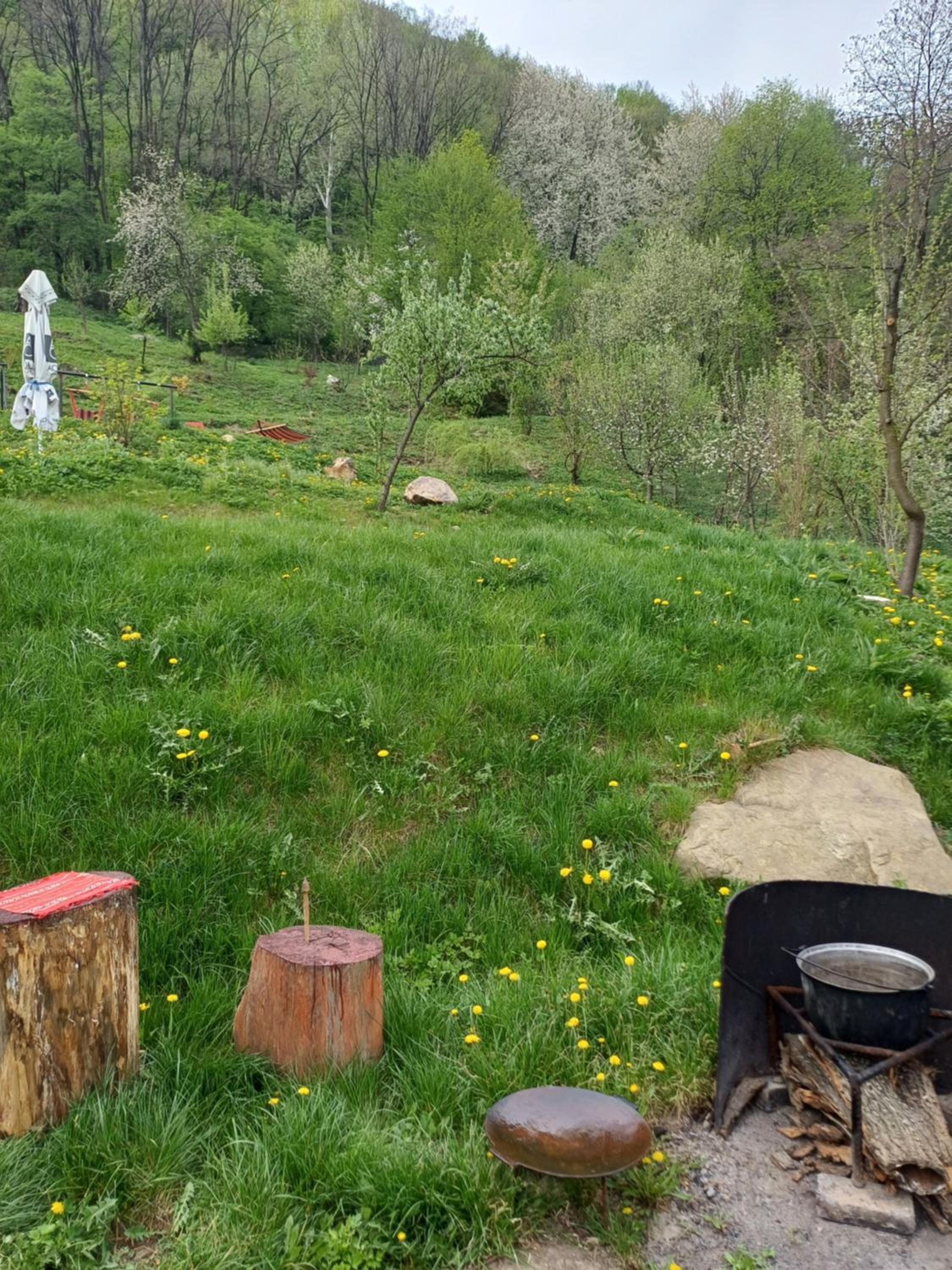 Pensiunea Magura Ocnei, photo 38