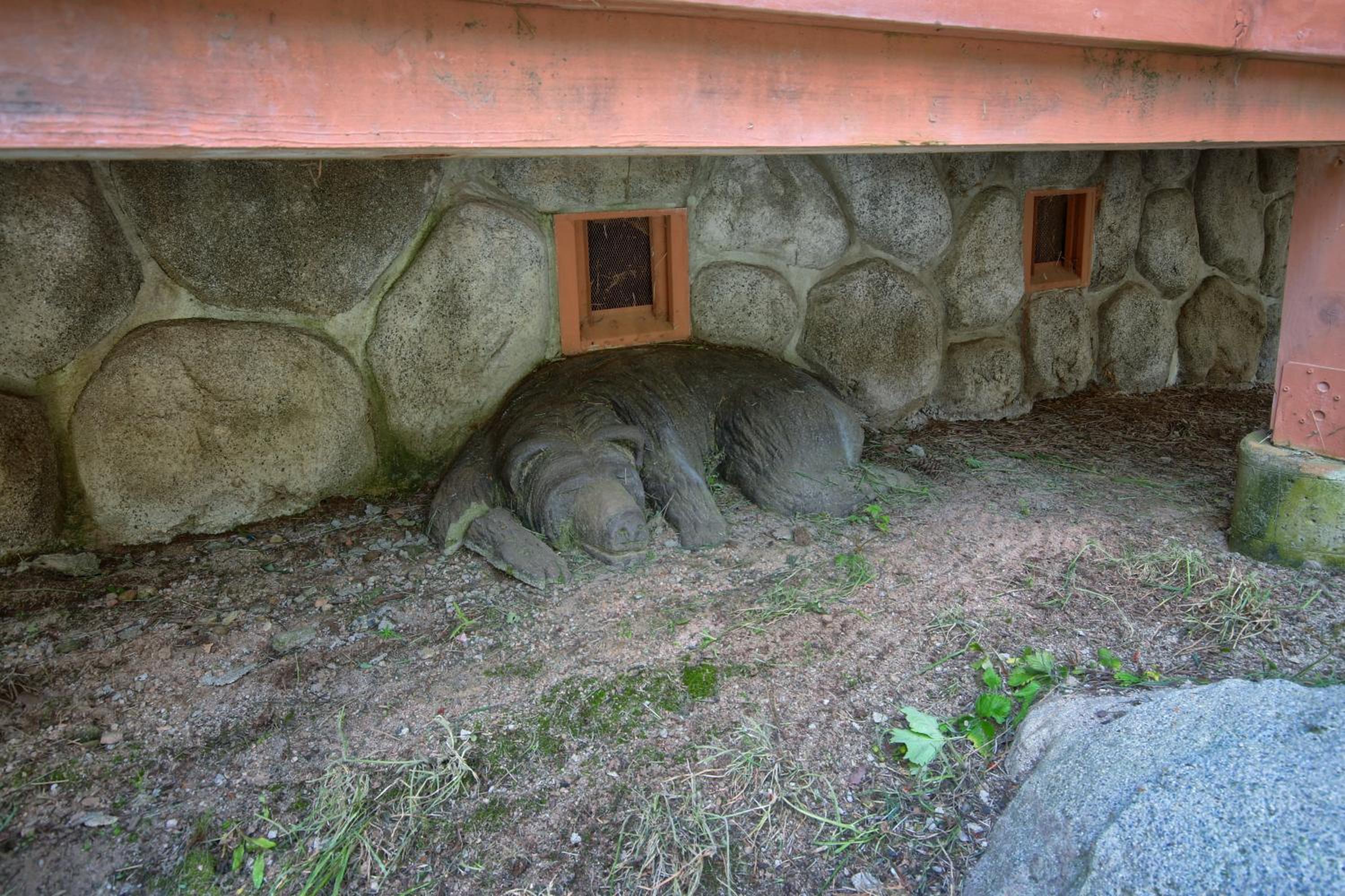 Photo 27
