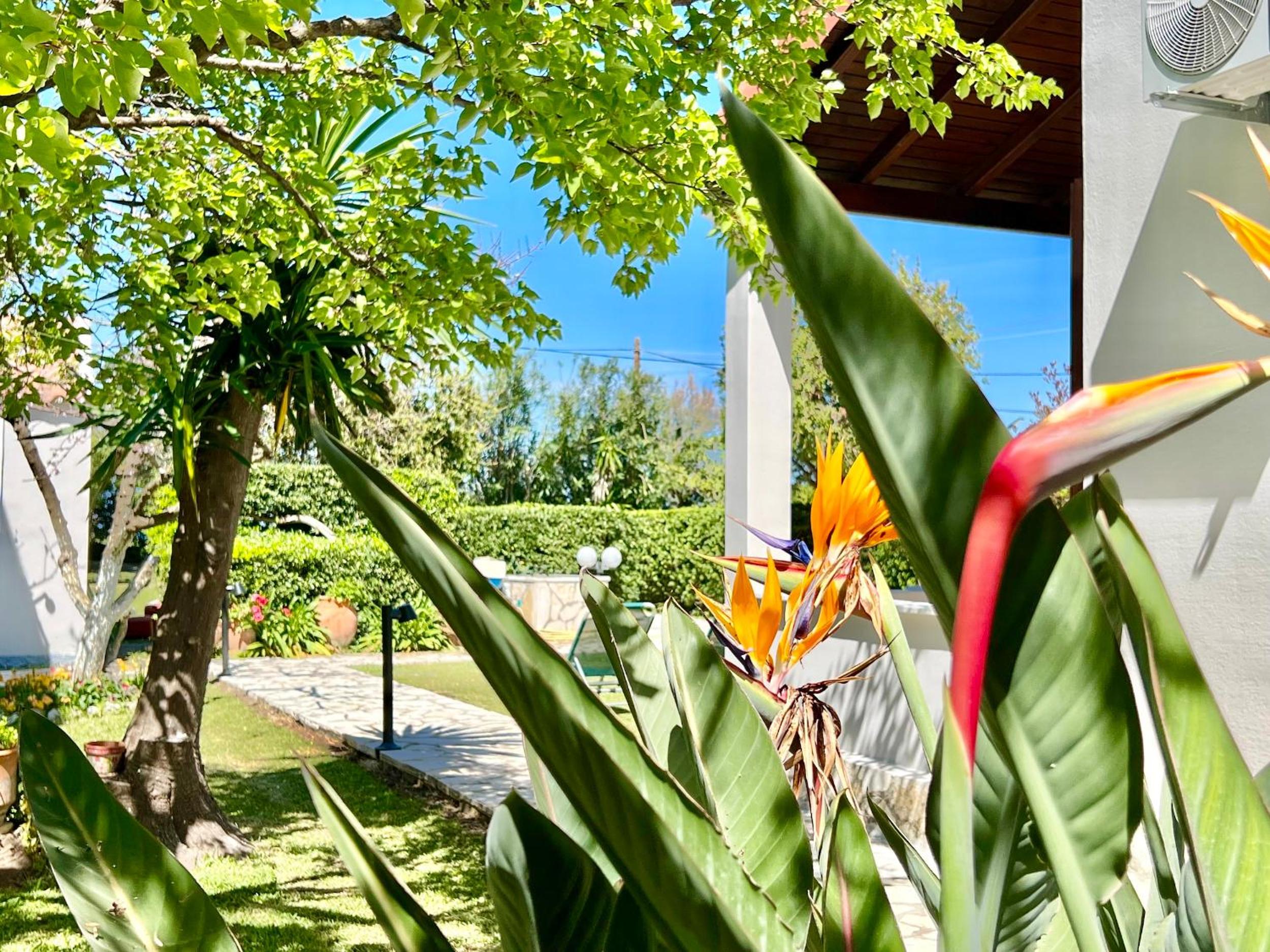 Beachfront Suites GardenMare by DadoVillas