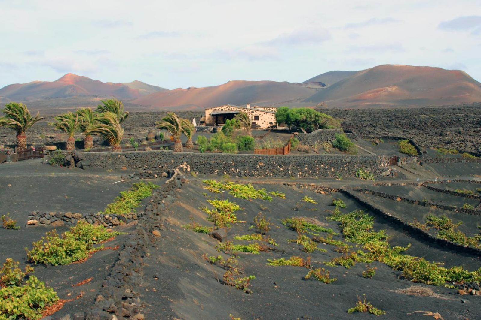 Casa Rural Vega de Timanfaya