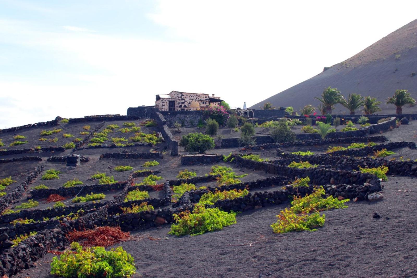 Casa Rural Vega de Timanfaya
