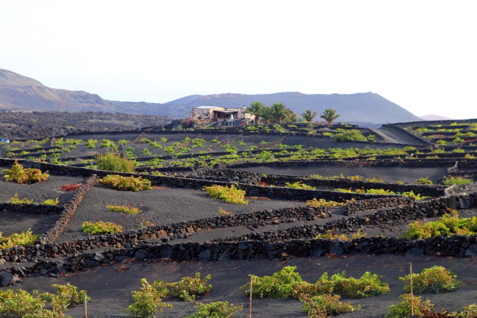 Casa Rural Vega de Timanfaya