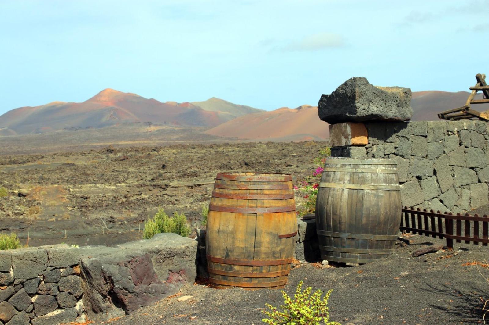 Casa Rural Vega de Timanfaya