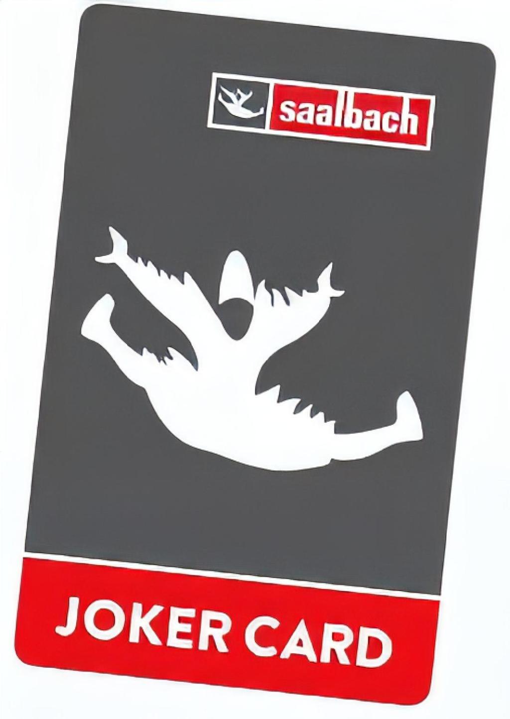 Bear Hutte Saalbach near Billa