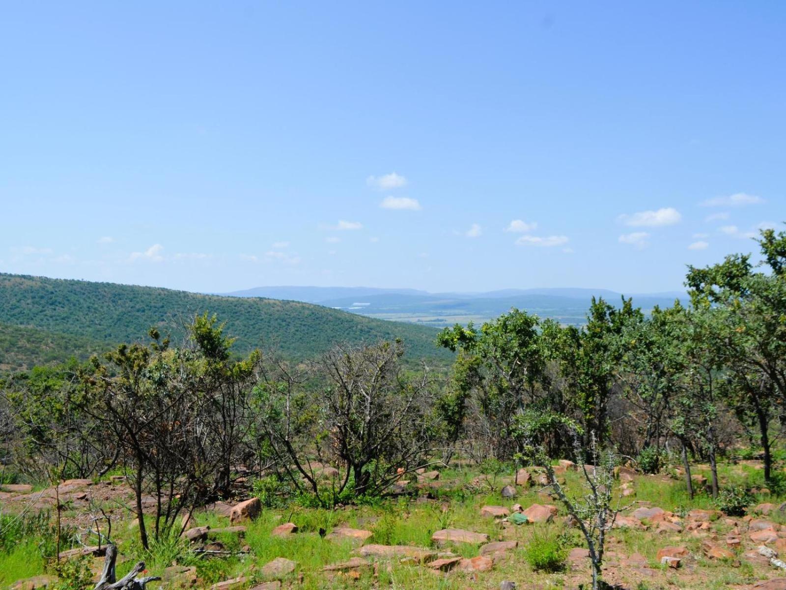 Masungulo Lodge
