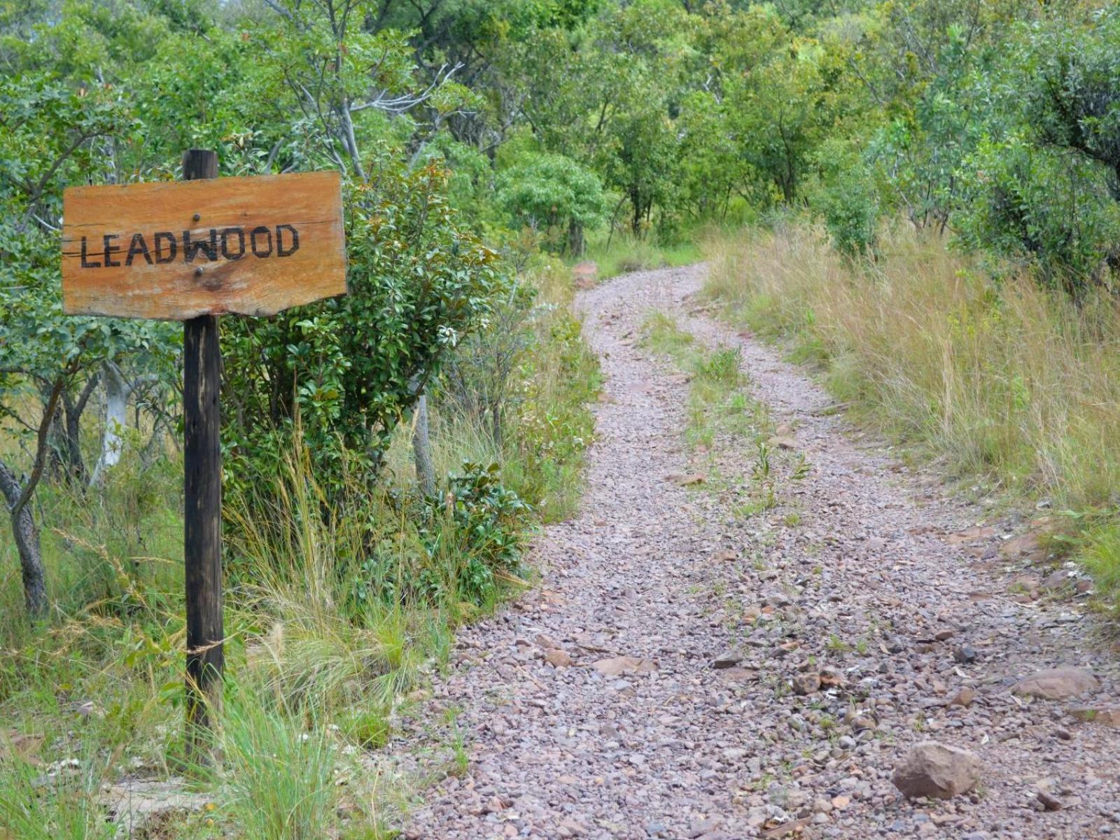 Masungulo Lodge