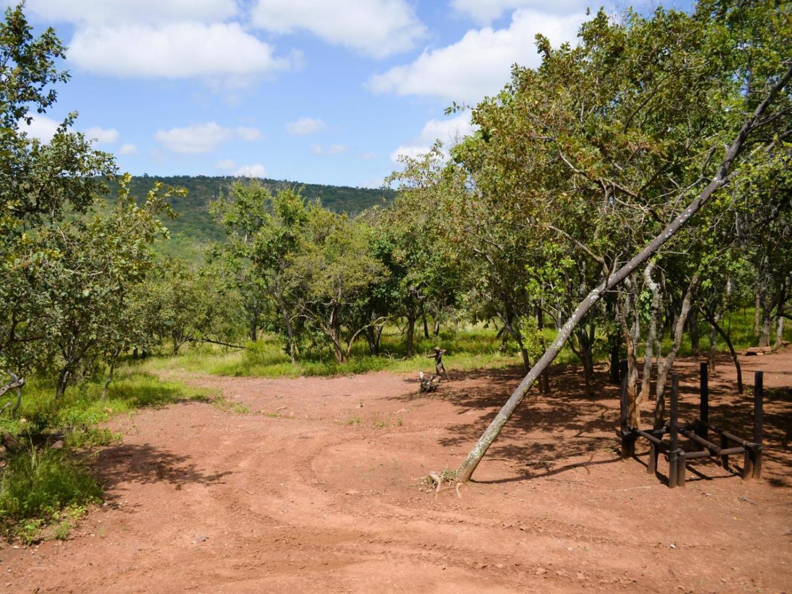 Masungulo Lodge