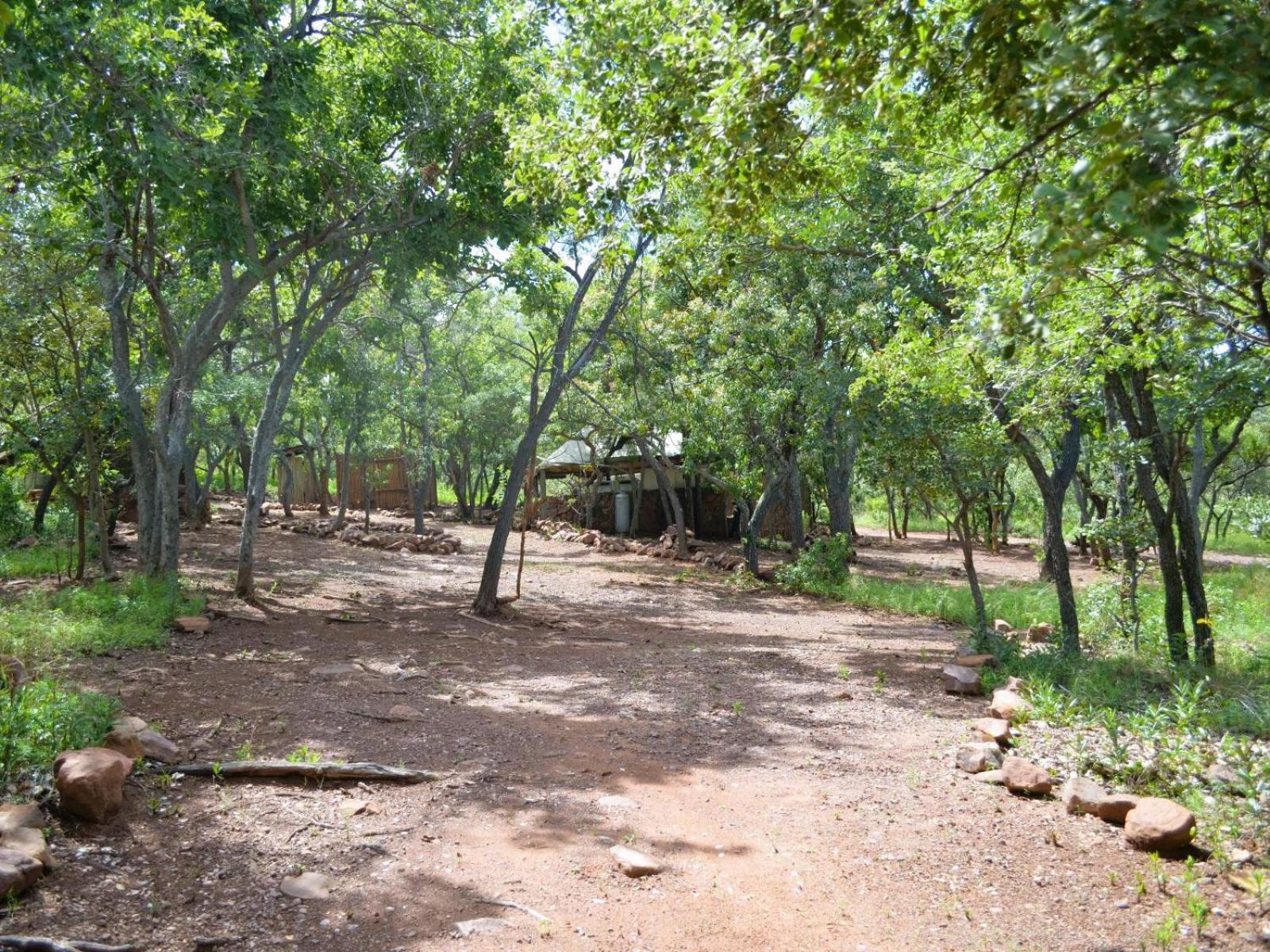 Masungulo Lodge