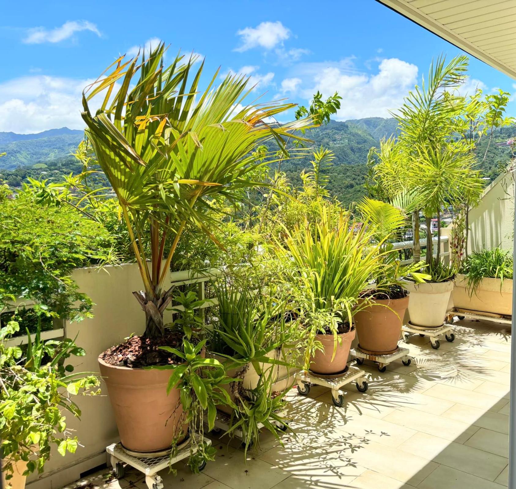 Duplex design sea view view 5