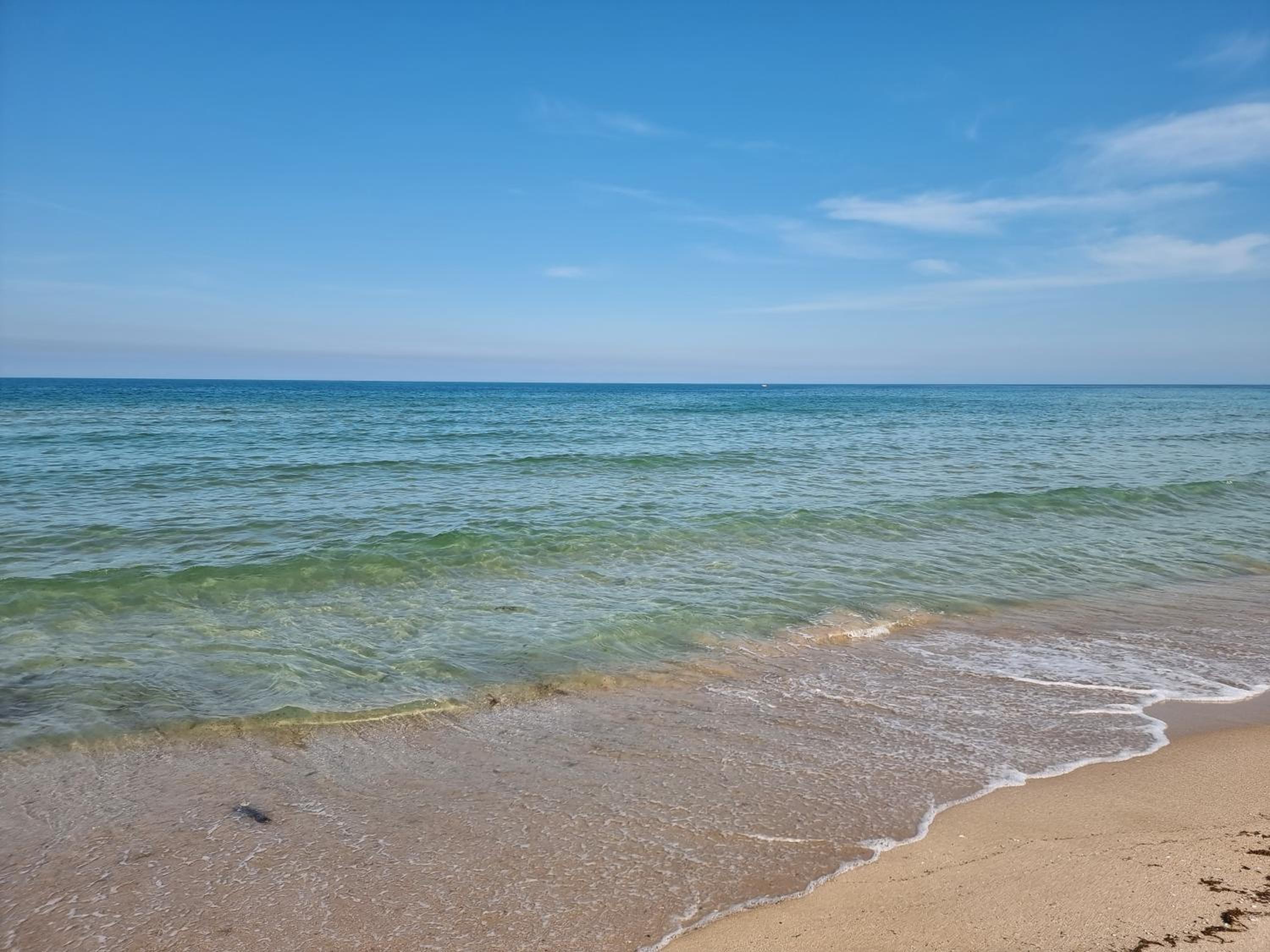 Sea Waves