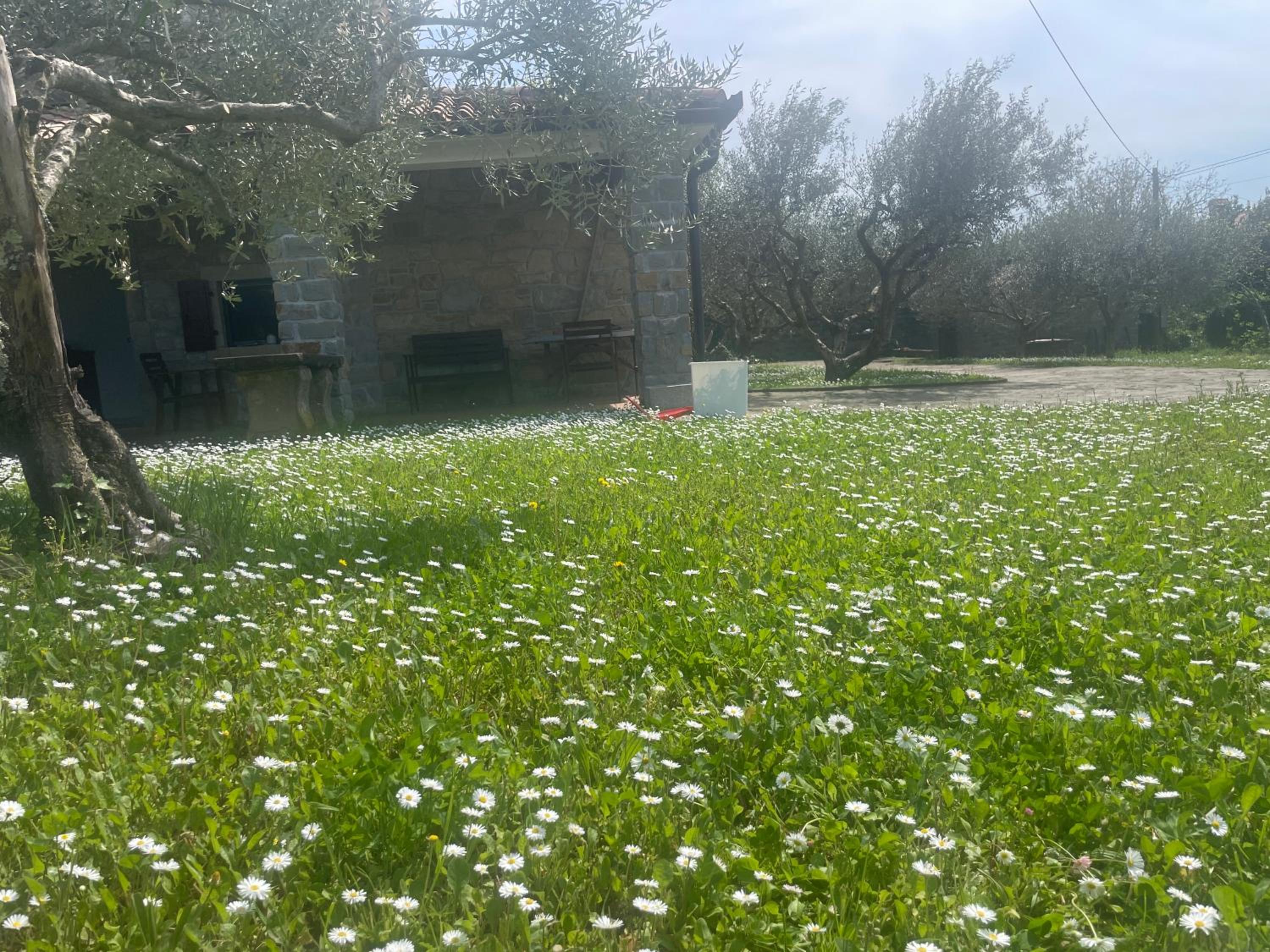 Photo 46