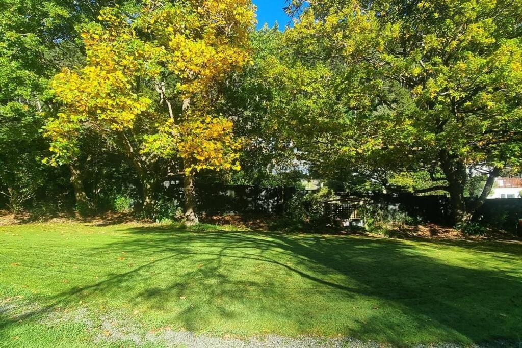 Pinehaven Cottage