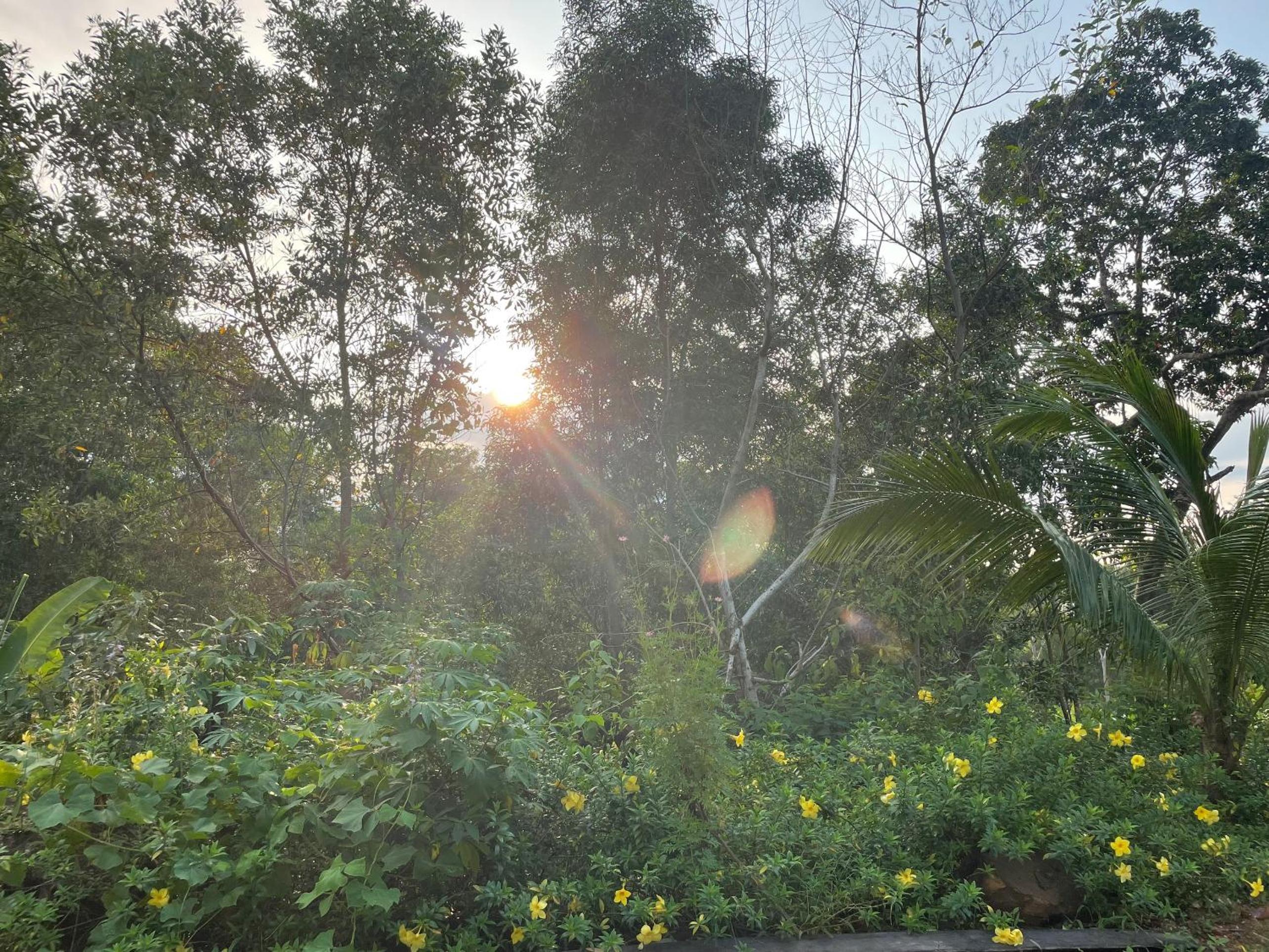 Amazing sunrise over wooden house at the East