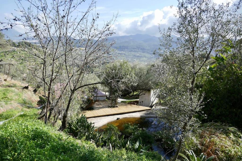 Cute house in the Spanish countryside