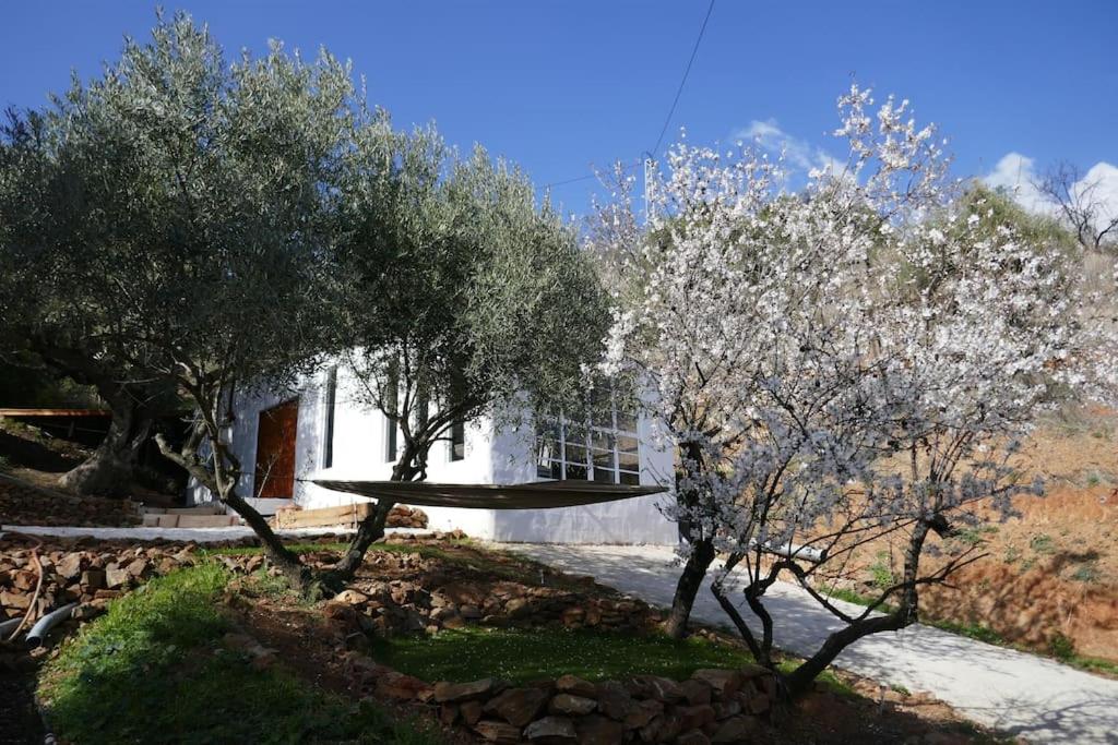 Cute house in the Spanish countryside