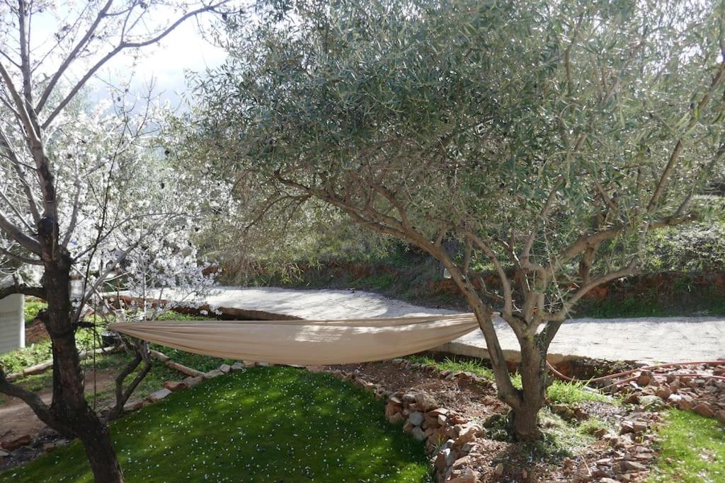 Cute house in the Spanish countryside