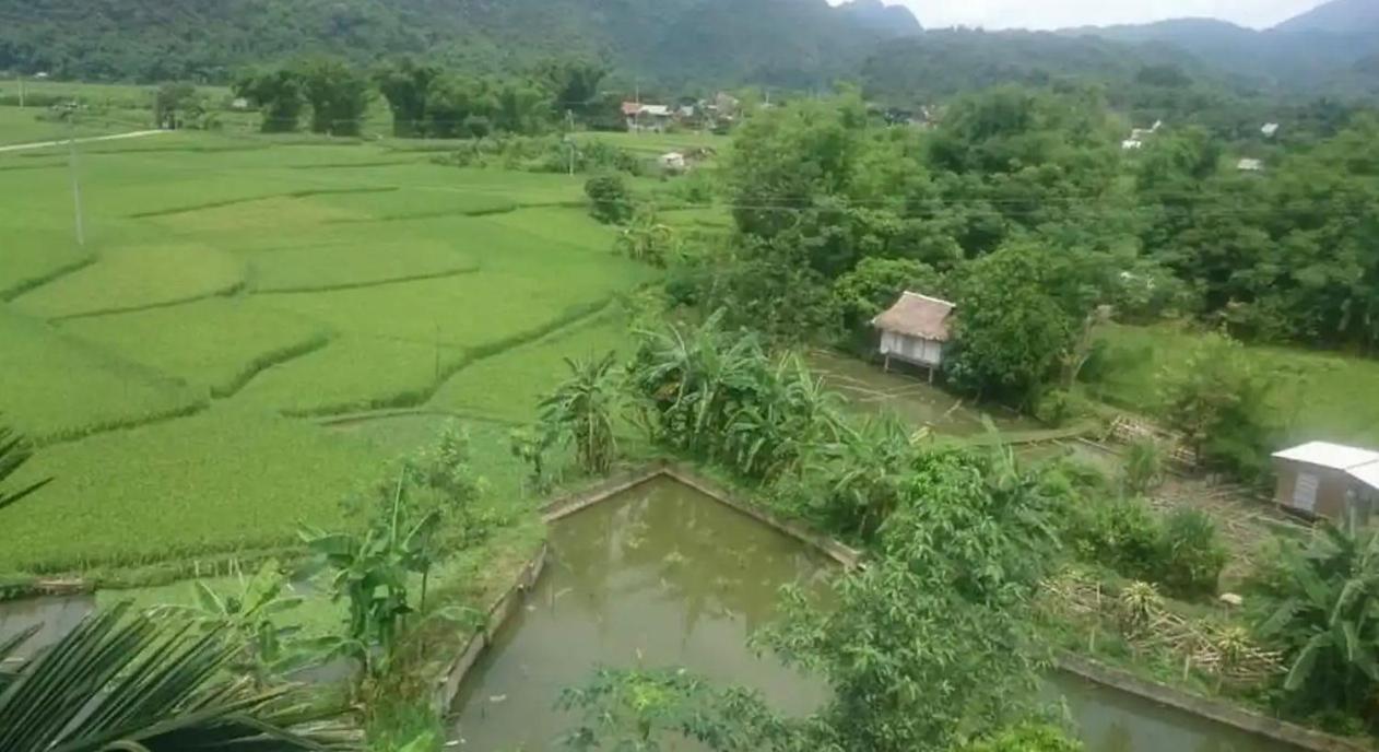Mai Chau Bình Minh Hotel view 3