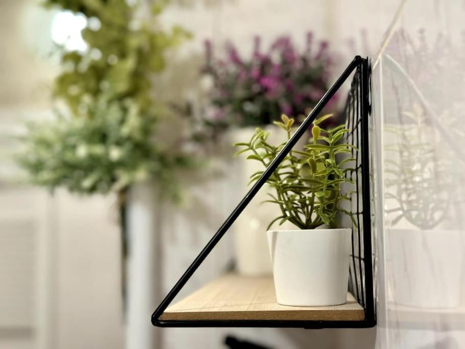 Sofia Sweet Spot: Central & Cozy