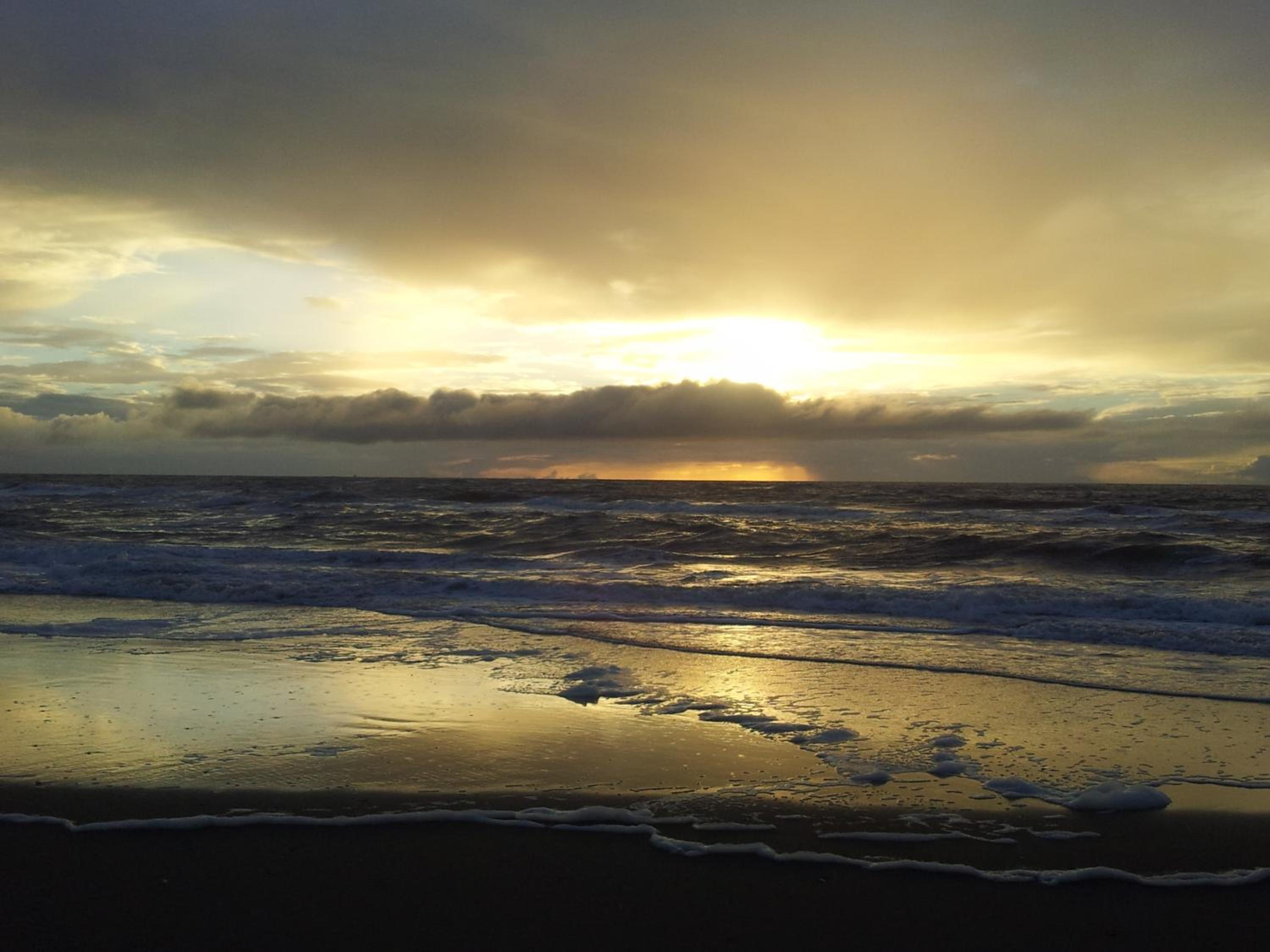 Homestay Texel