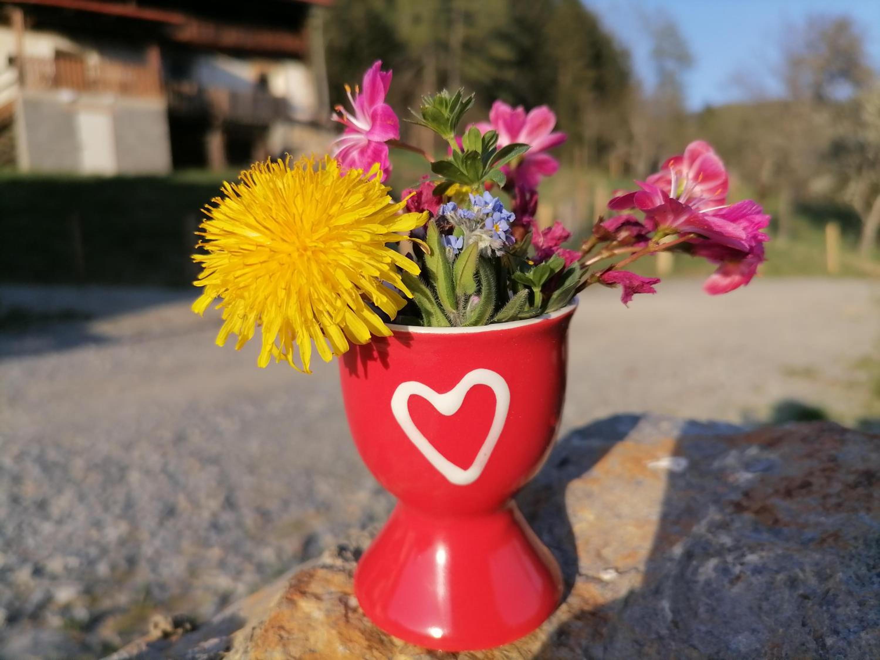 Lärchenhaus ,,Unterer Brodl