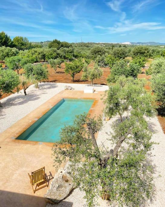 Splendida Villa con piscina a 10 minuti dal mare view 4