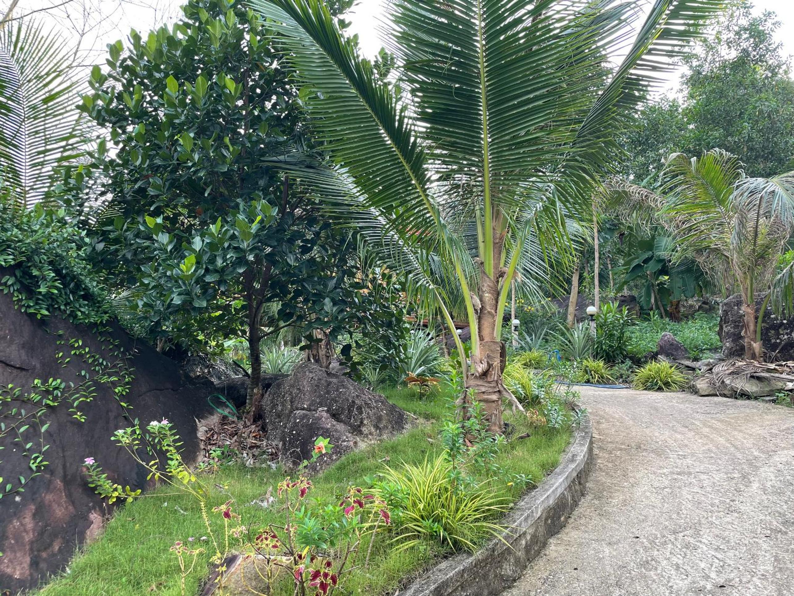 Photo 88