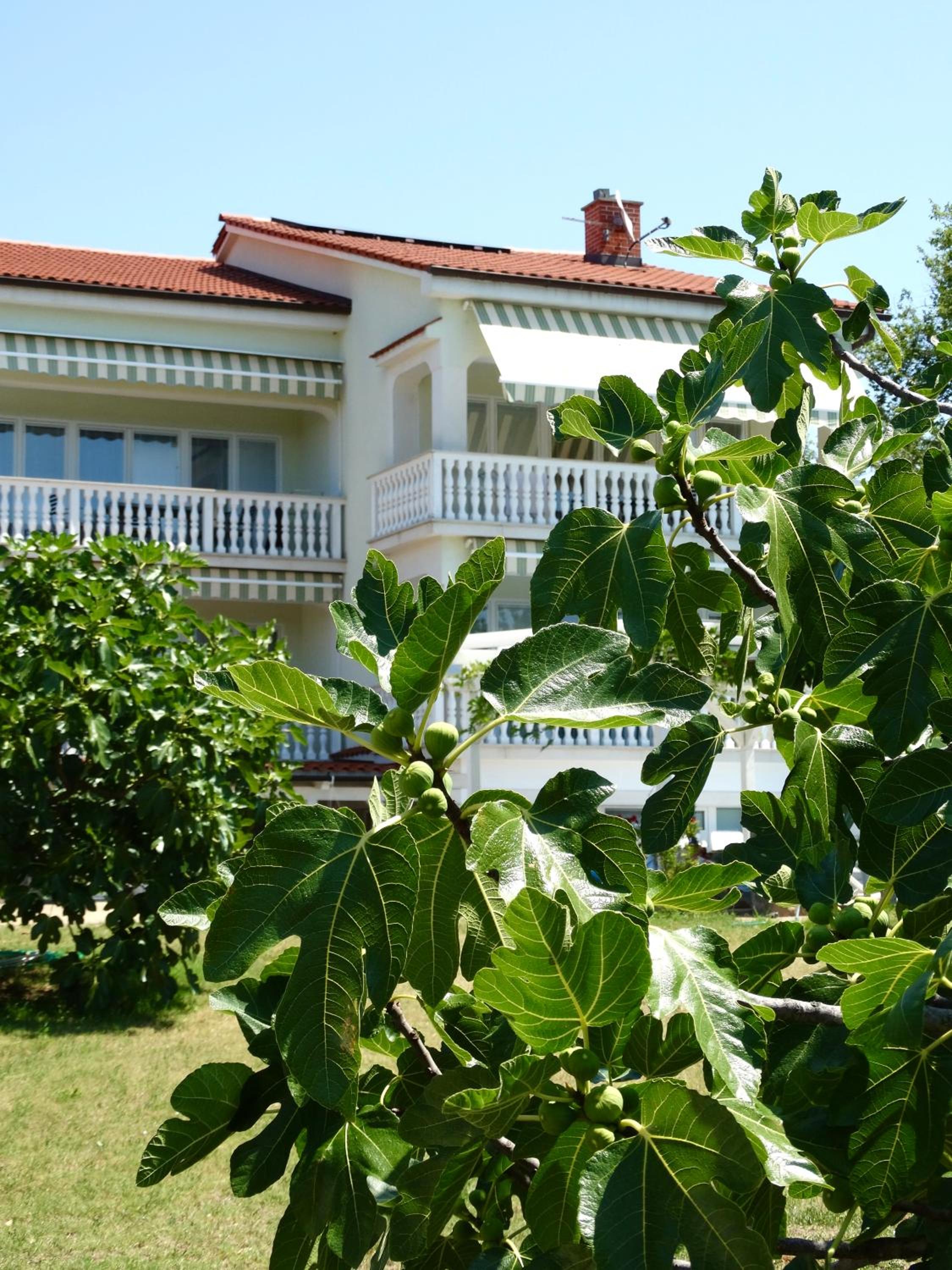 Apartments Gorančica