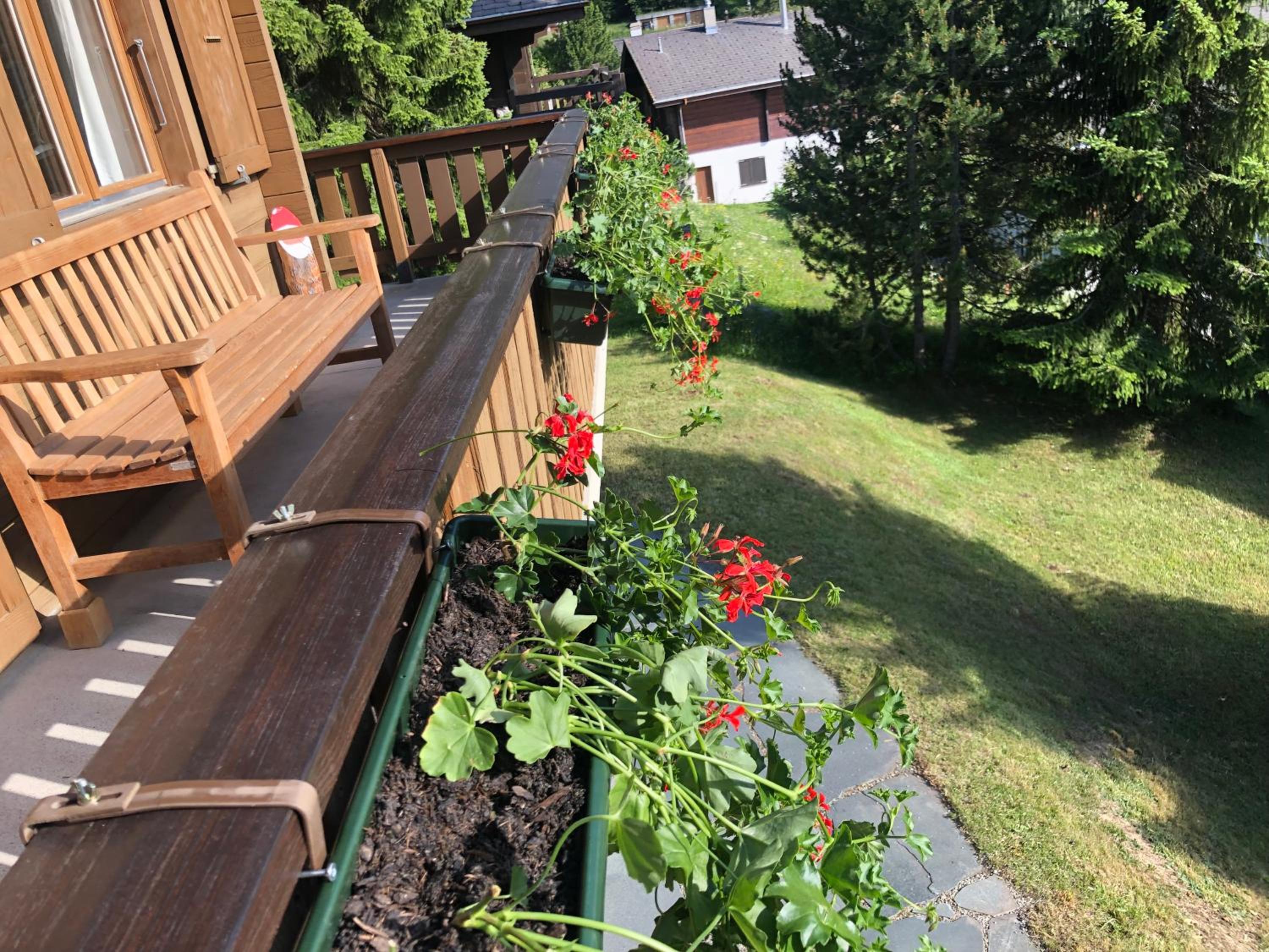 Chalet Claire