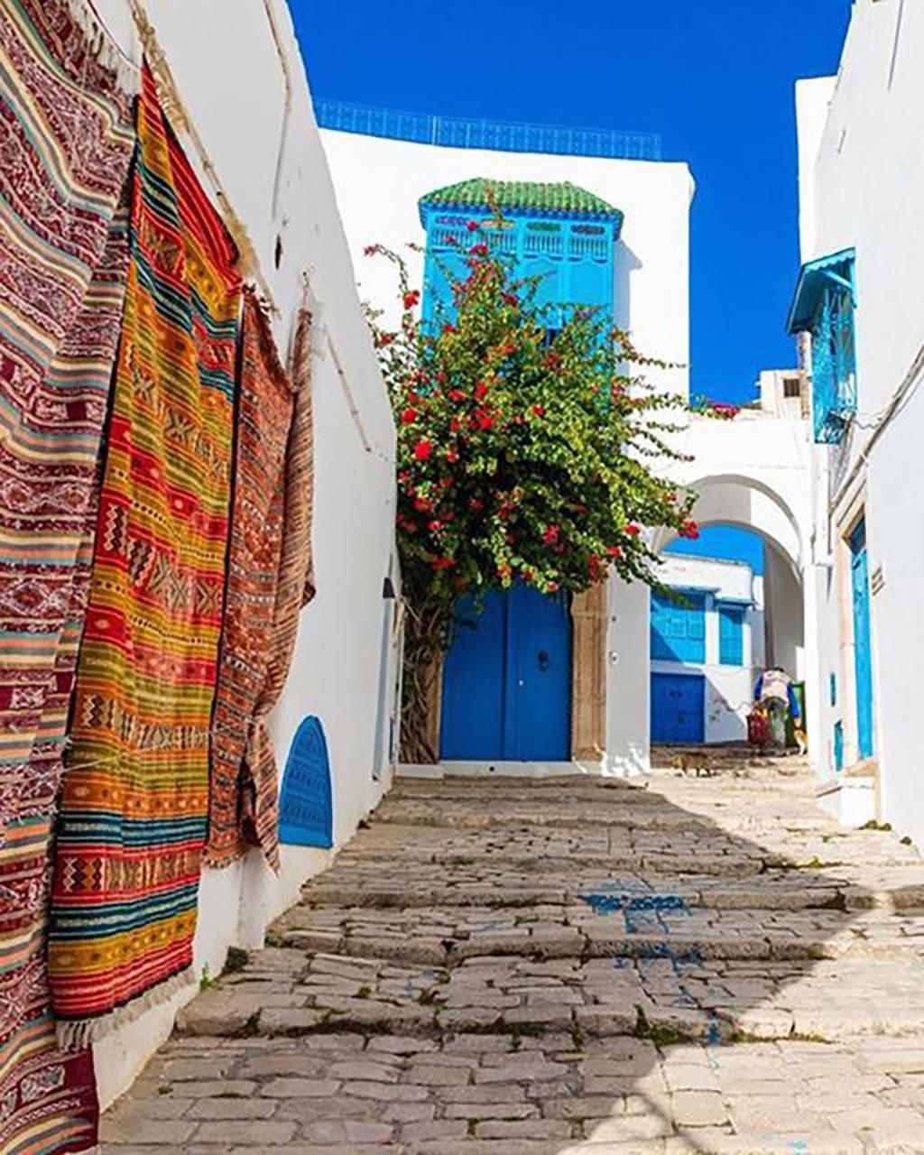 COSY Apartment in Sidi Bou Said Village