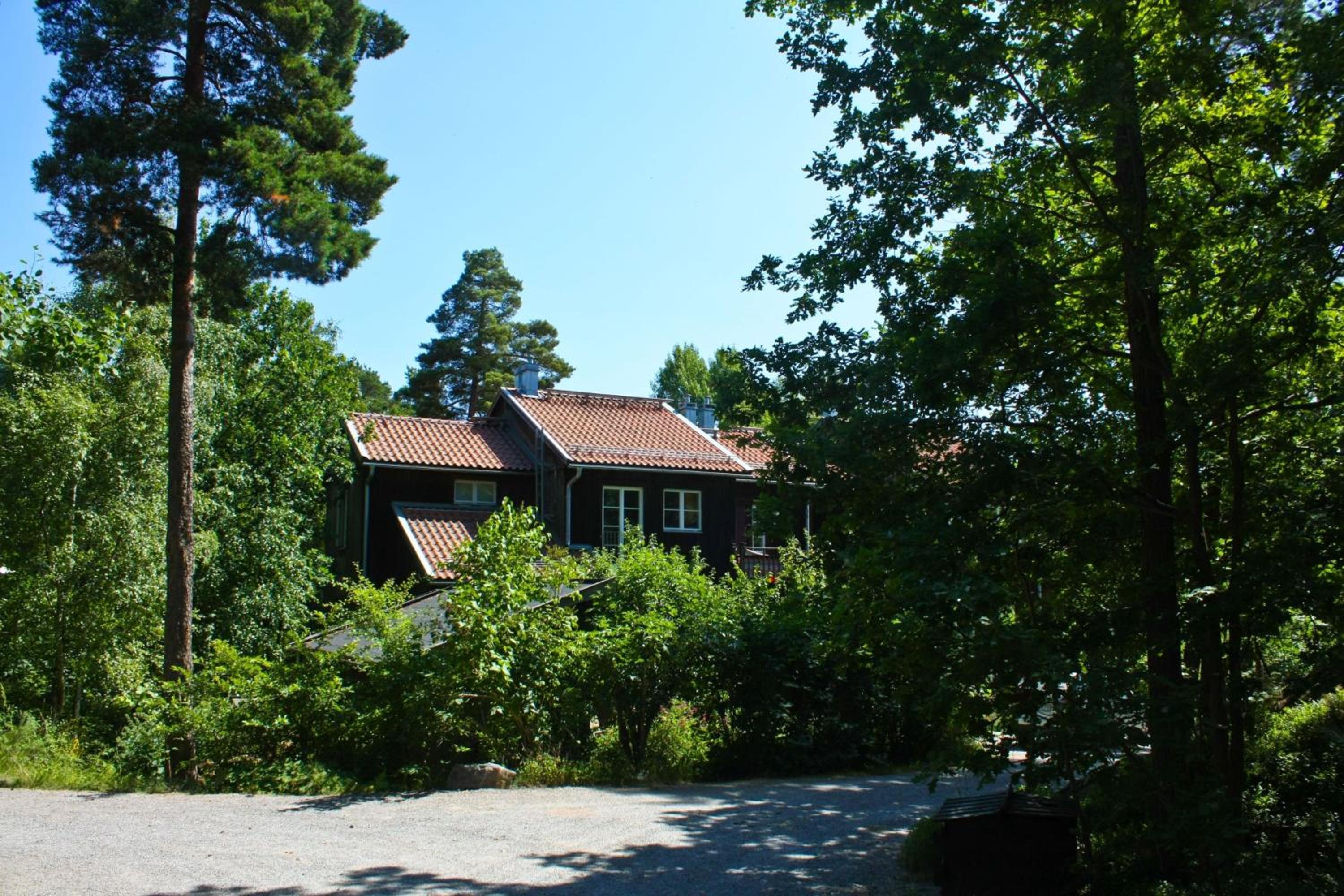 Photo 19