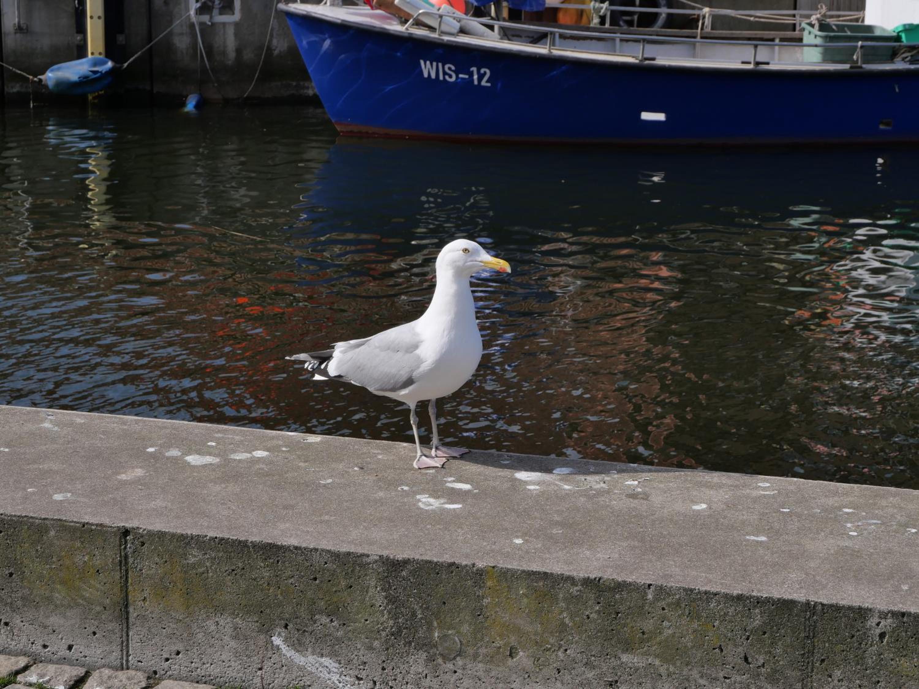 Ostsee-Weitblick zw Rostock und Wismar