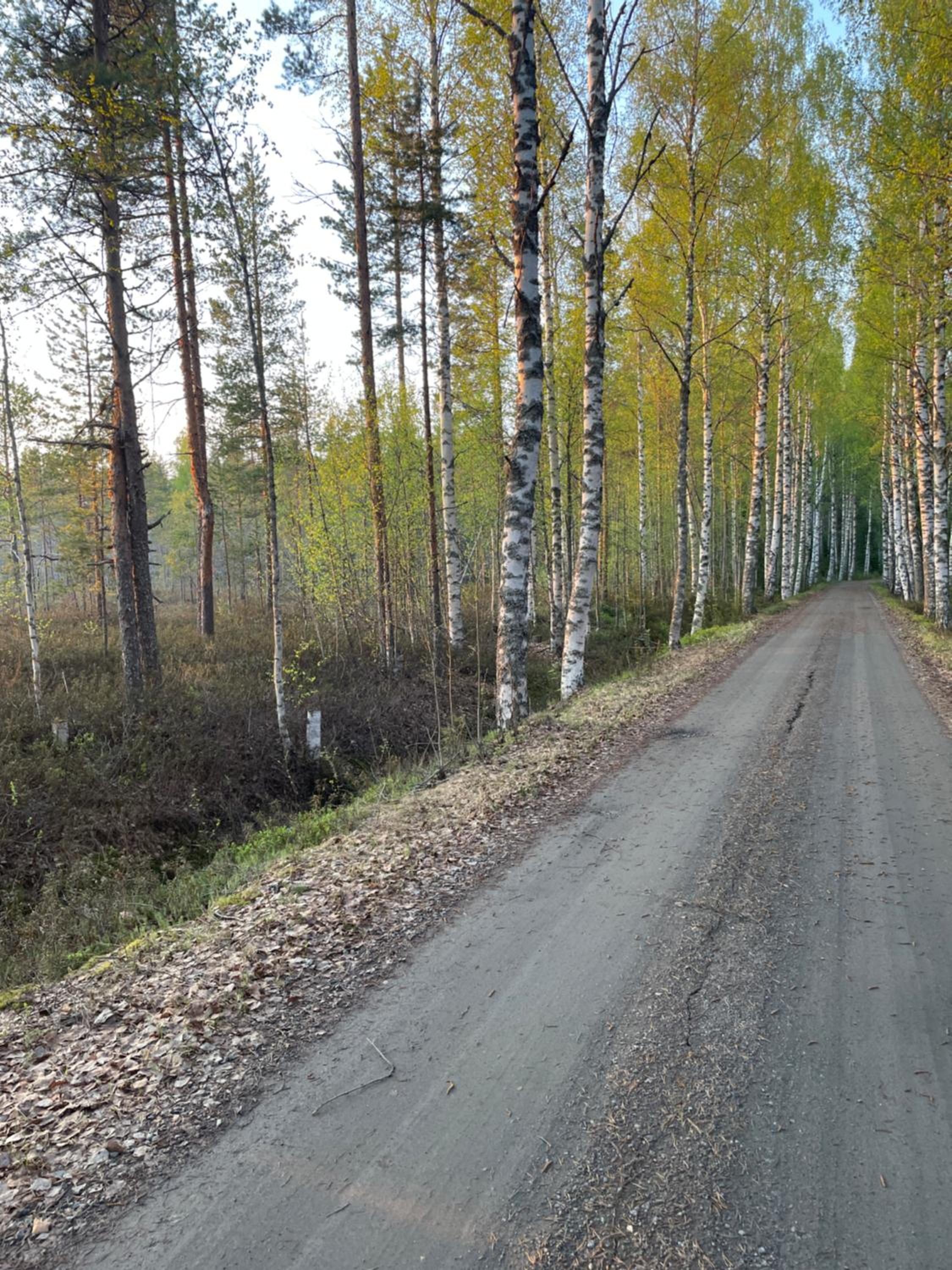 Huvila Pahkaranta Lestijärven rannalla