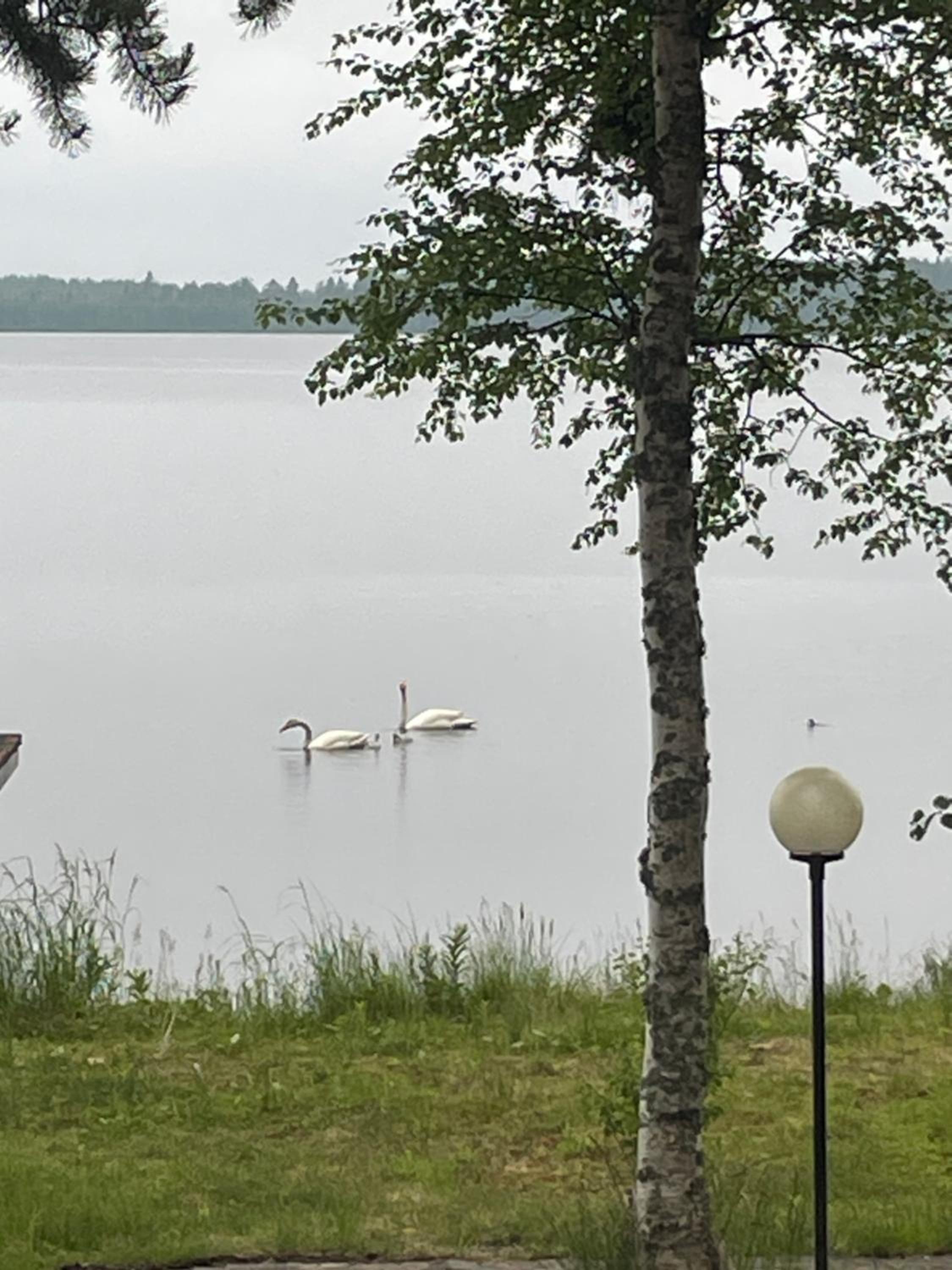 Huvila Pahkaranta Lestijärven rannalla