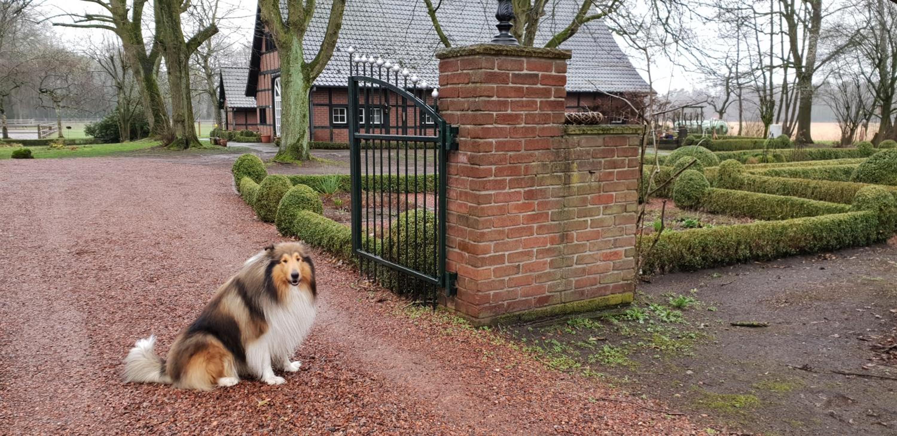 Münsterland Cottage