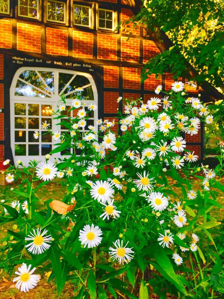 Münsterland Cottage