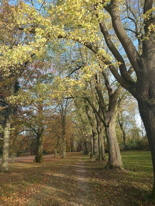 Escapade Ardenne: 16 pers