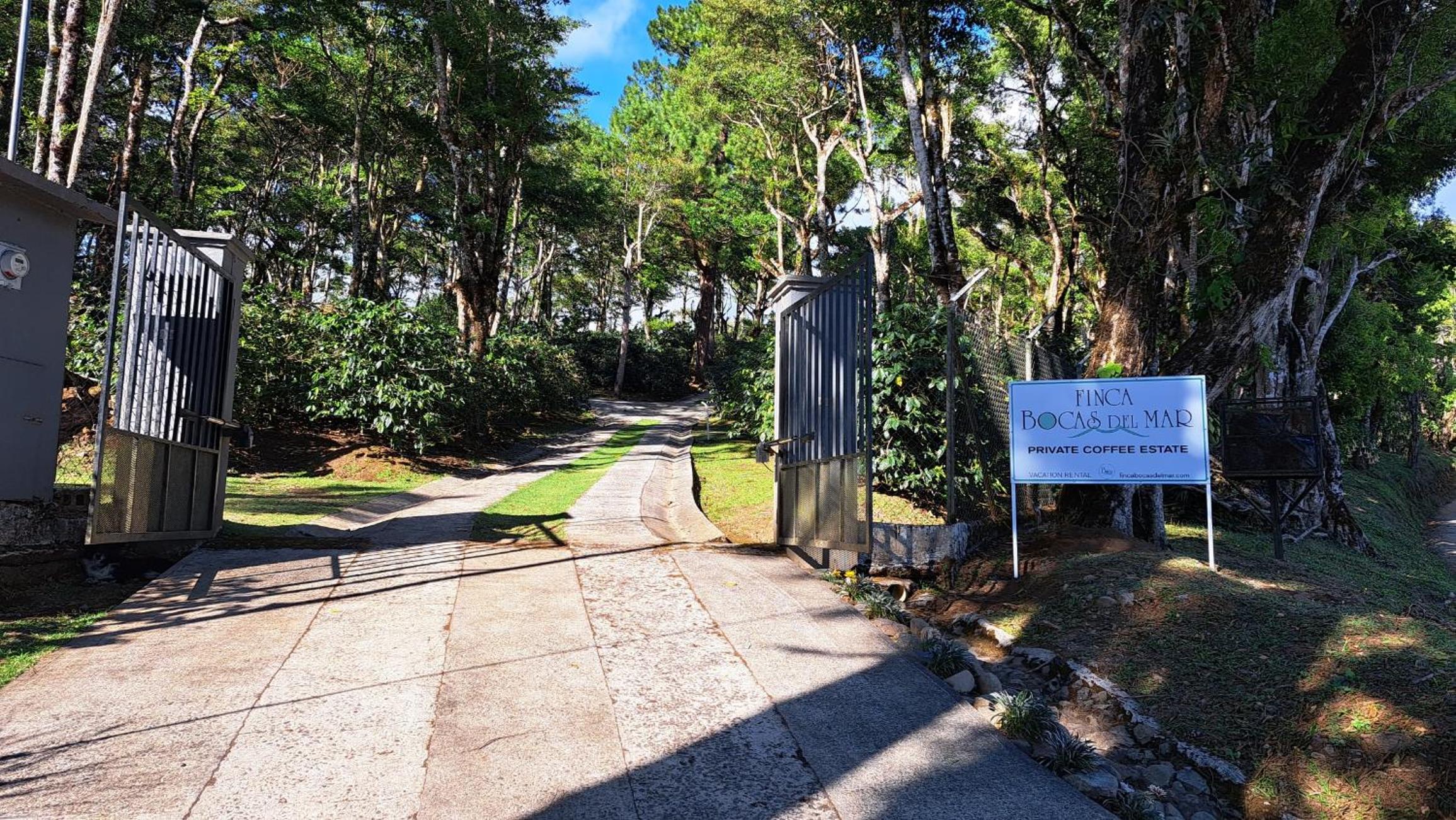 Private Coffee Estate Villa by Bocas del Mar view 2