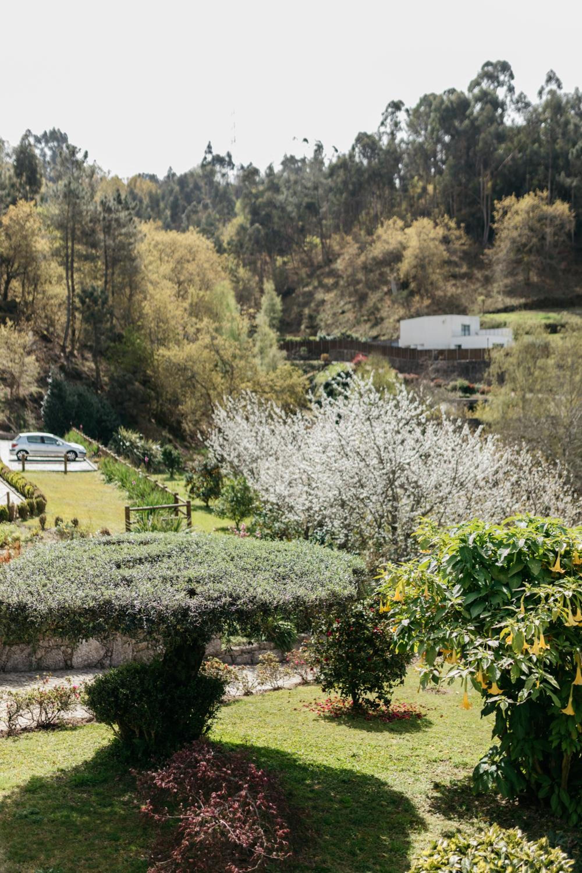 Quinta do Bento