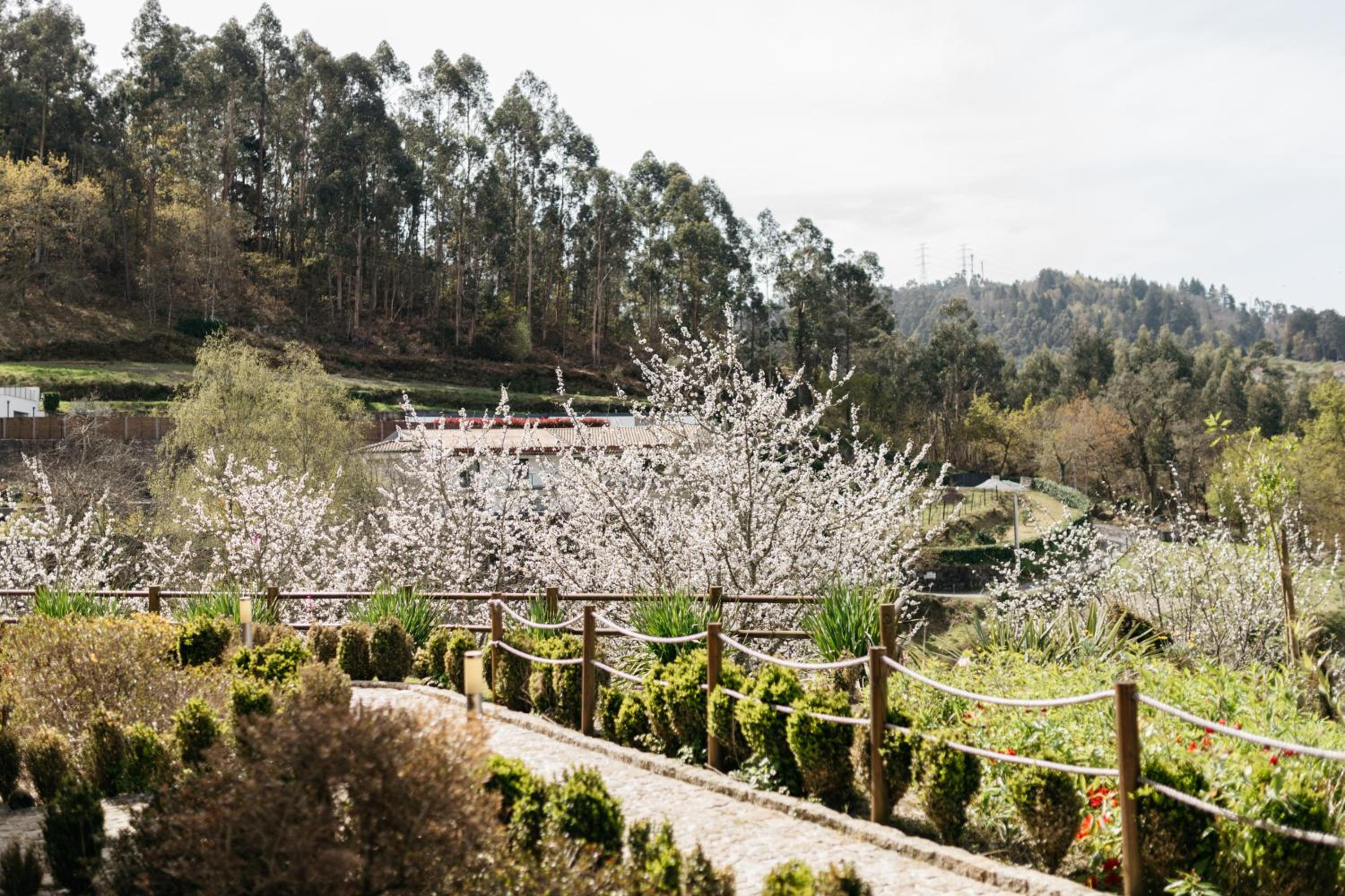 Quinta do Bento