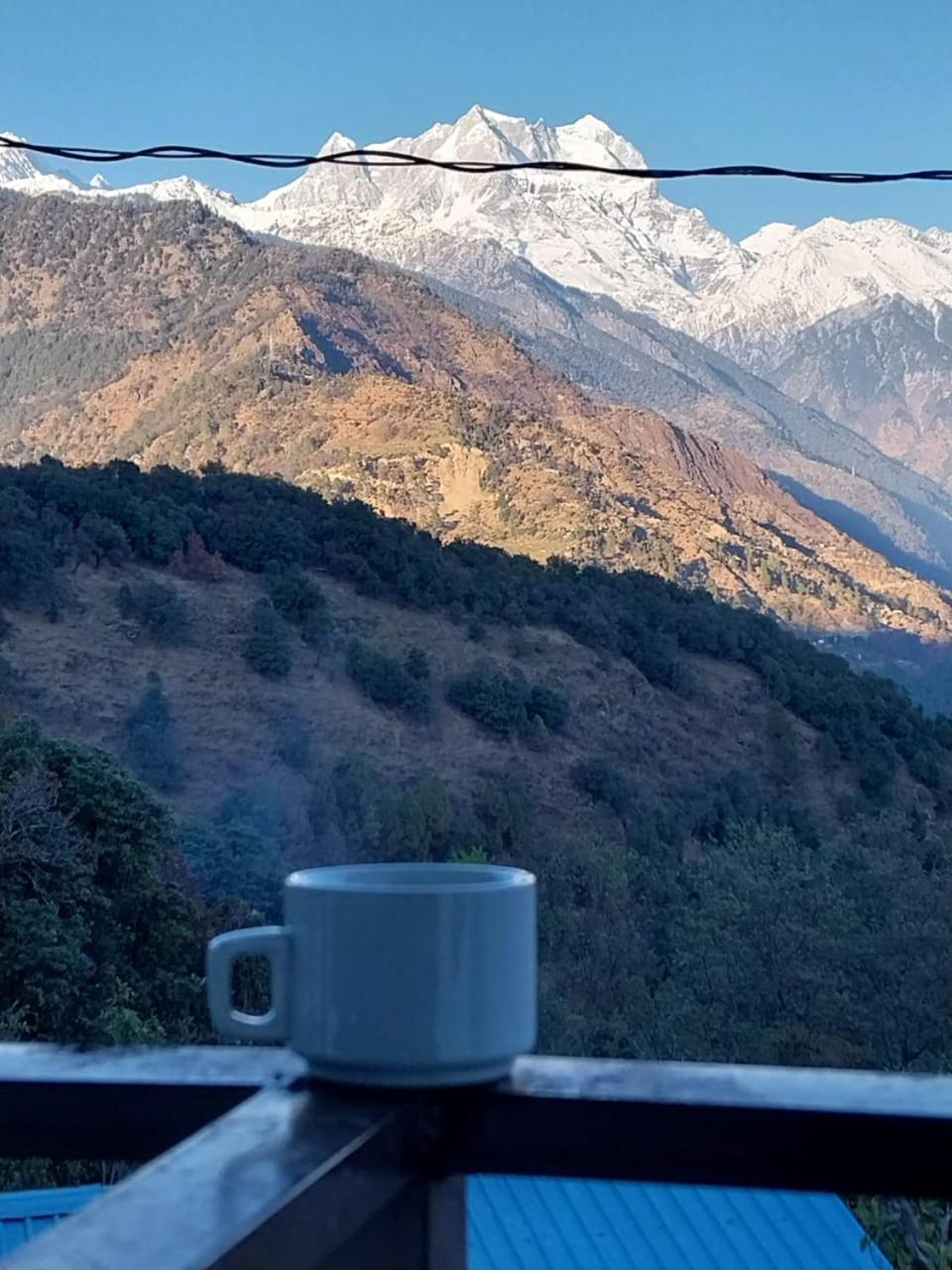 Forest Cottage Resort