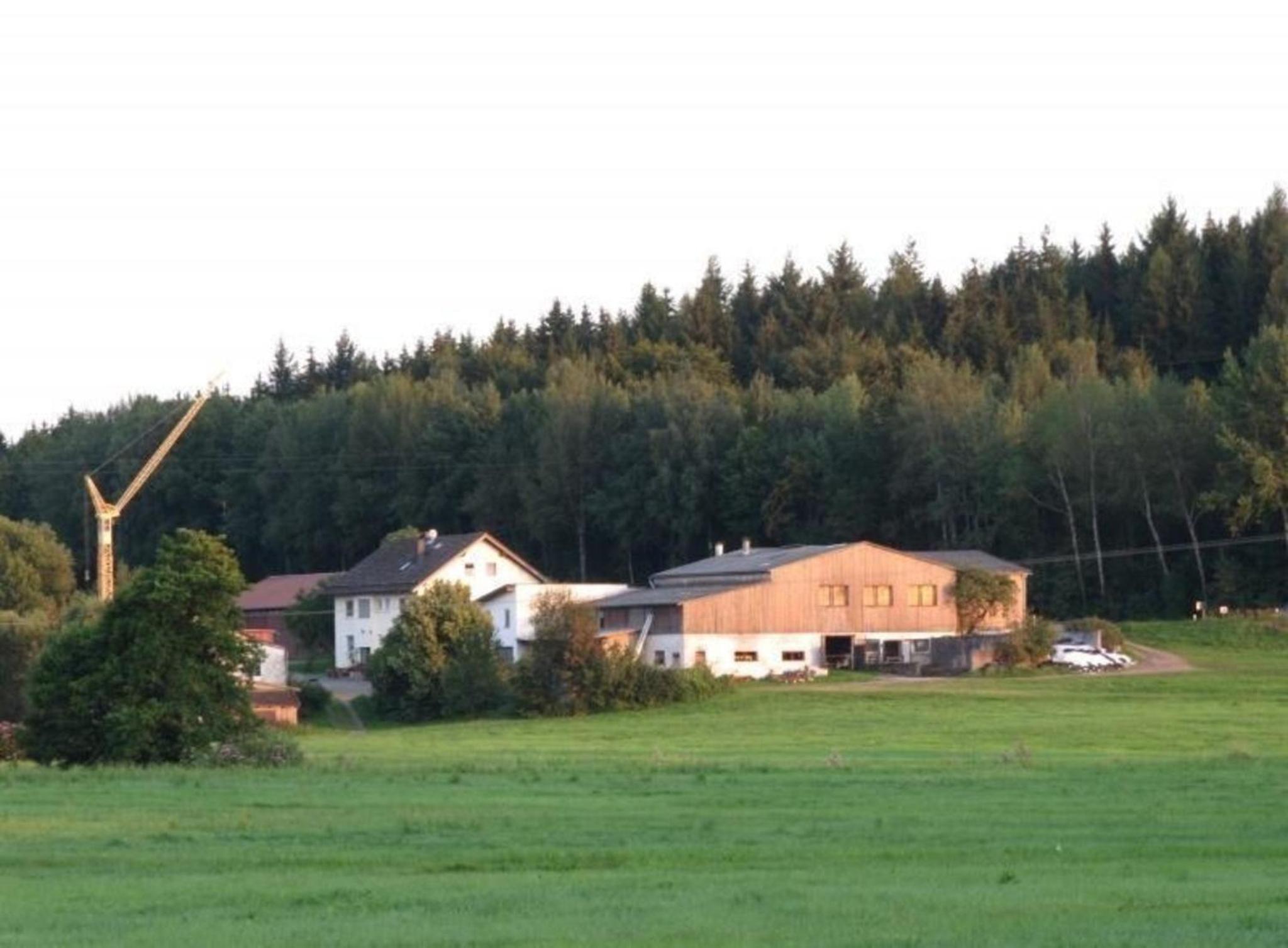 Ferienwohnung bei Waldmünchen mit Wald- und Wiesenumgebung