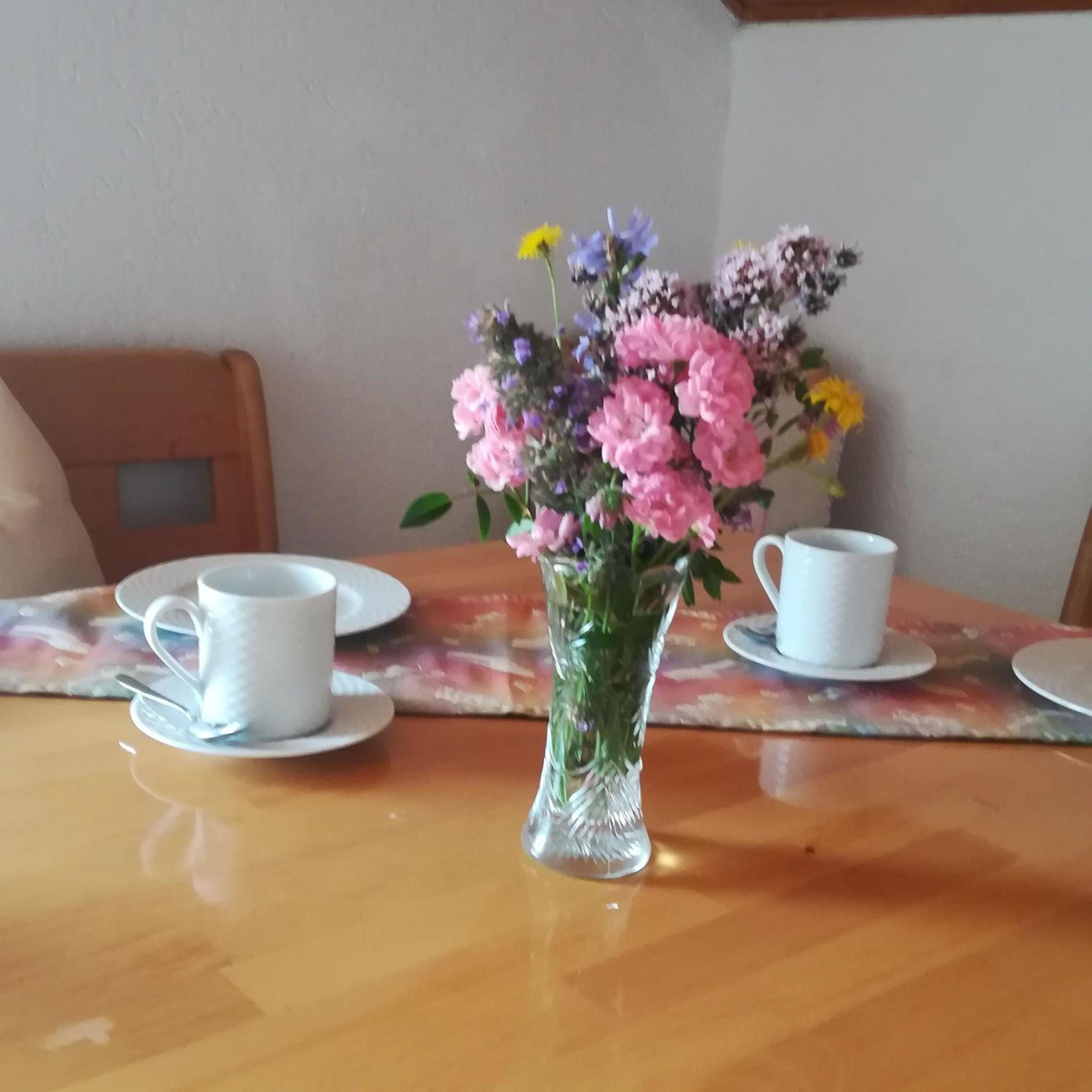 Ferienwohnung bei Waldmünchen mit Wald- und Wiesenumgebung