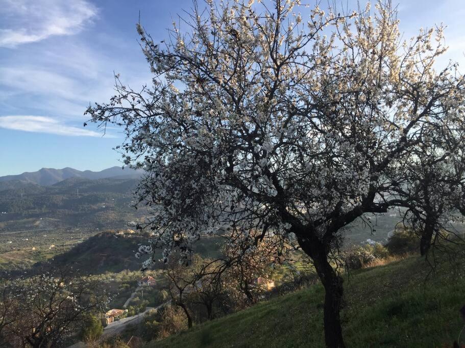 Charming Spanish Finca in beautiful nature