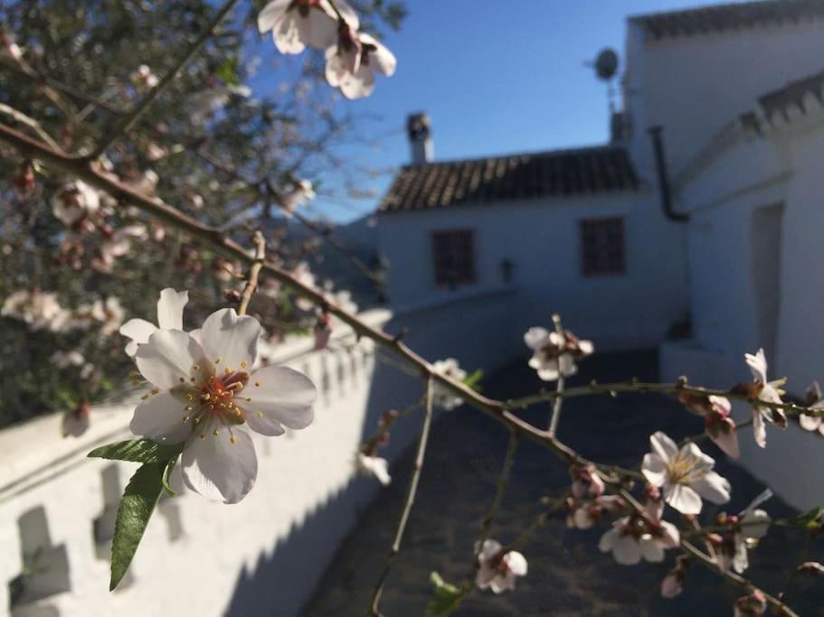 Charming Spanish Finca in beautiful nature