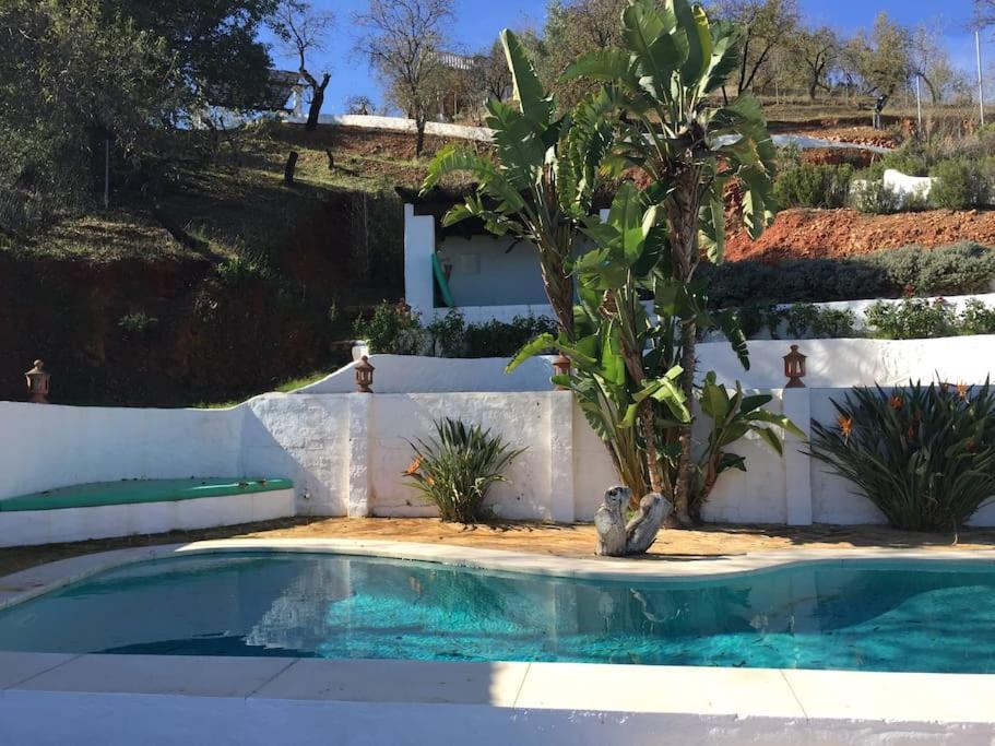 Charming Spanish Finca in beautiful nature
