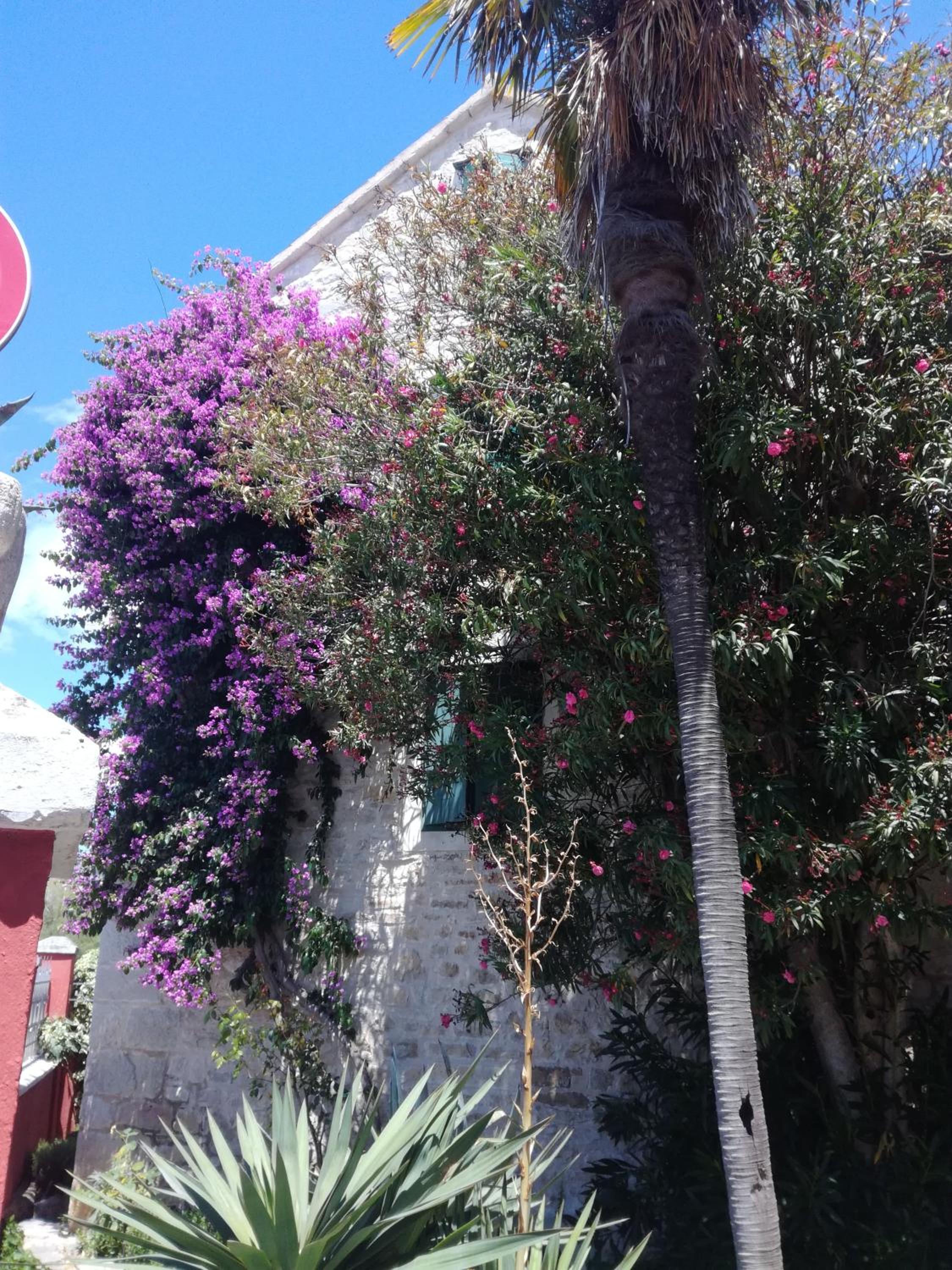 Photo 40