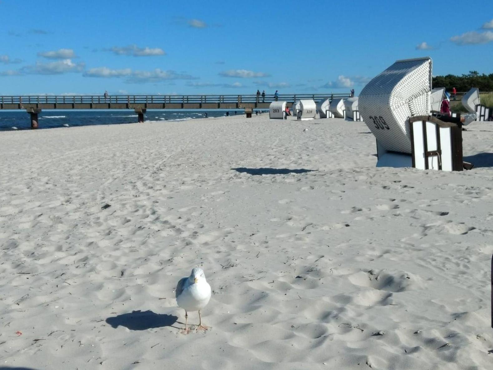 Ferienappartement Aust in Sankt Peter-Ording