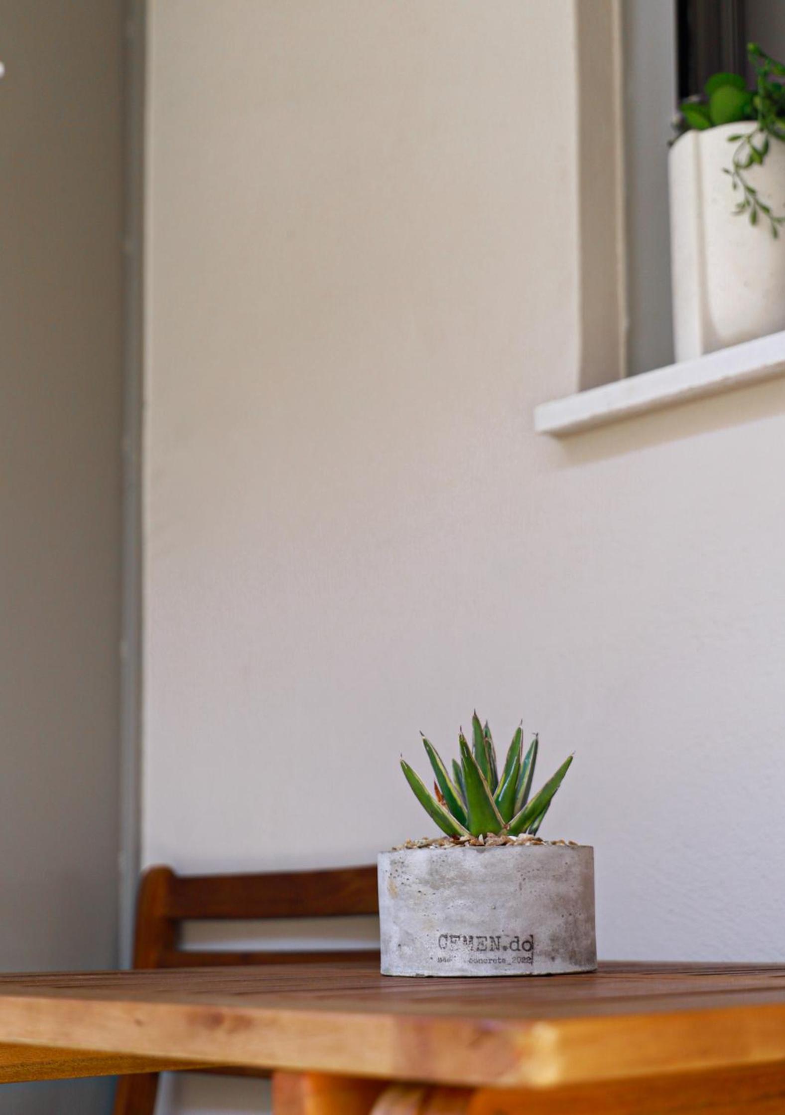 Cutie Studio Apartment in Koukaki
